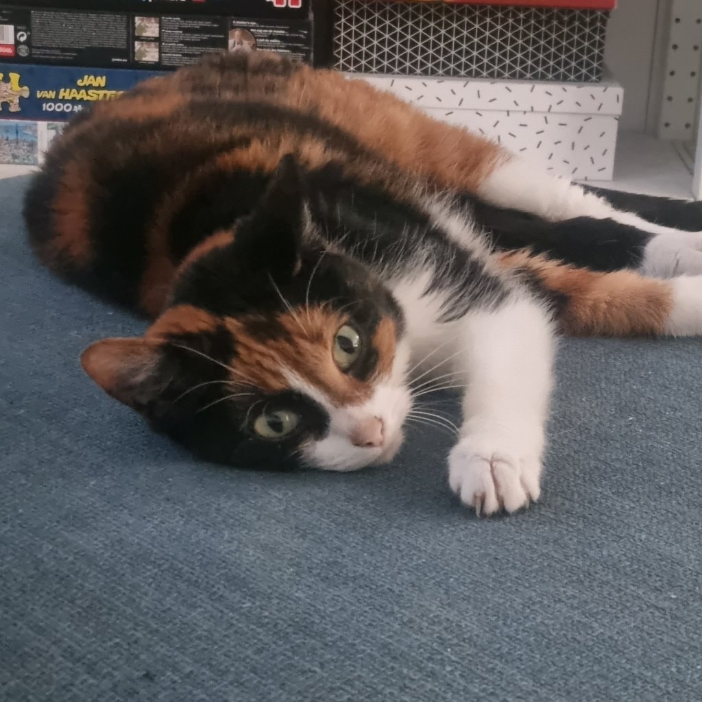 Tilly