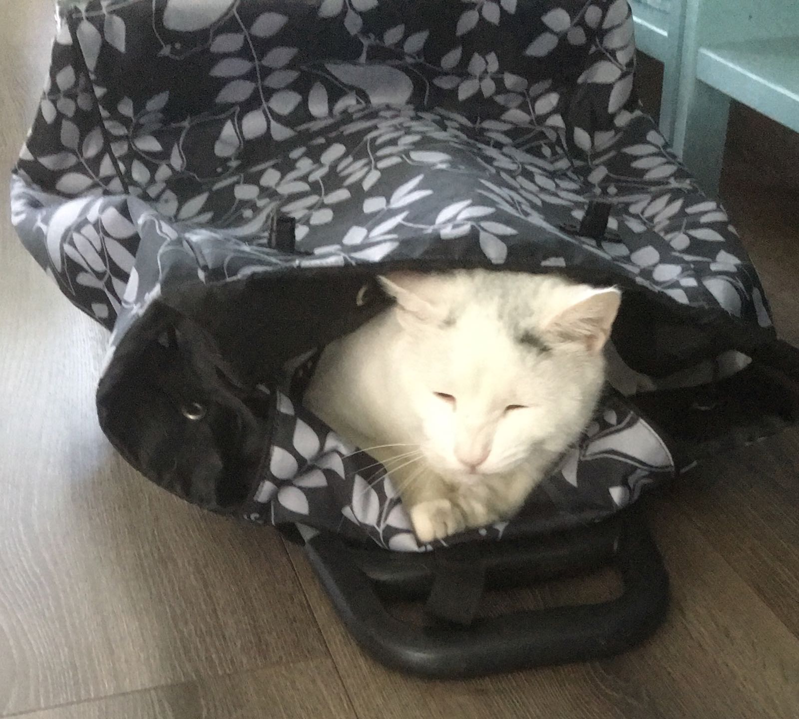image-8