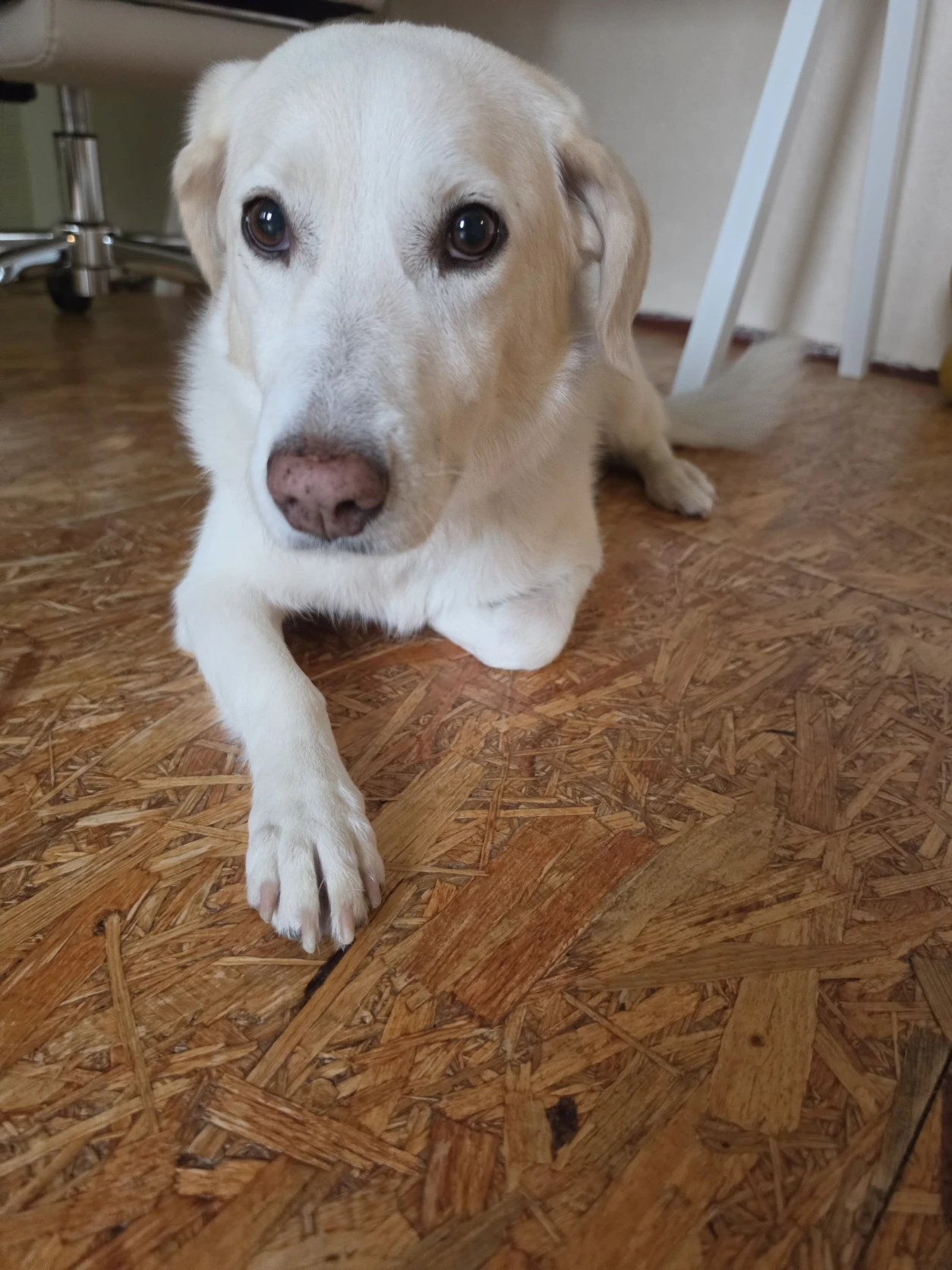 image-41