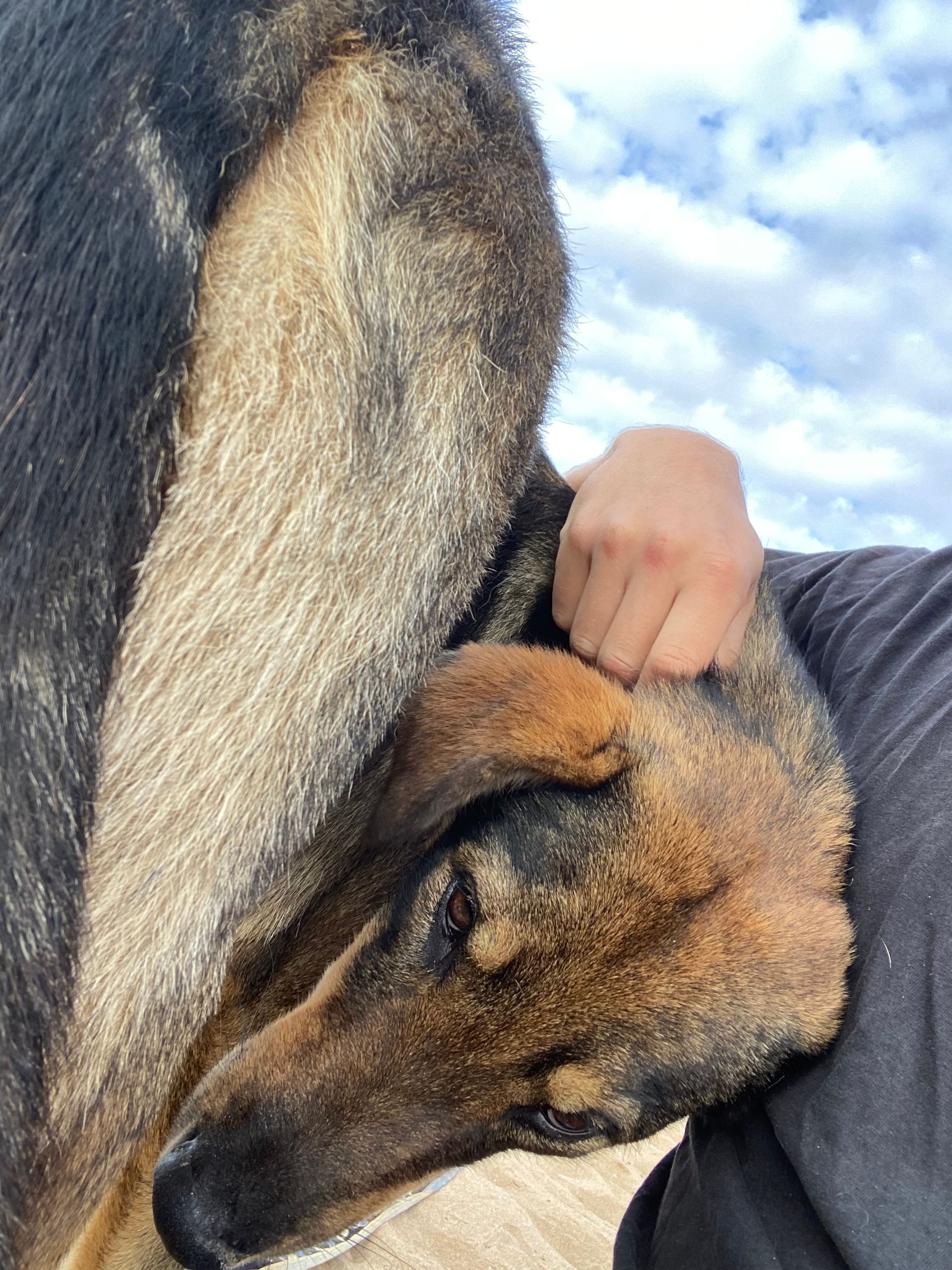 image-8