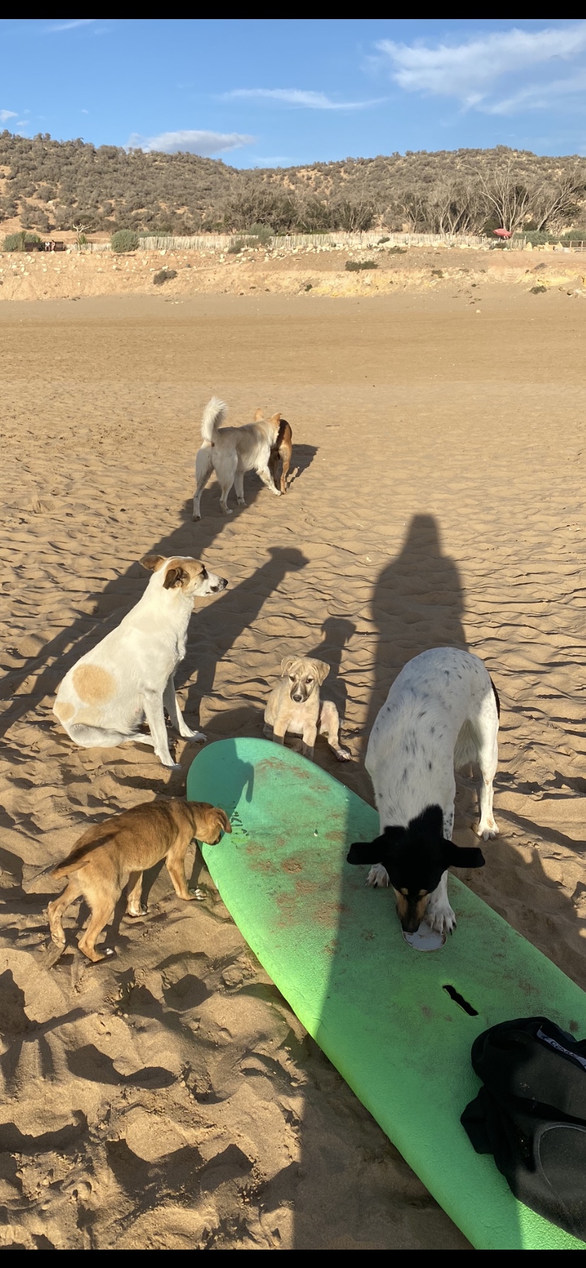 image-5