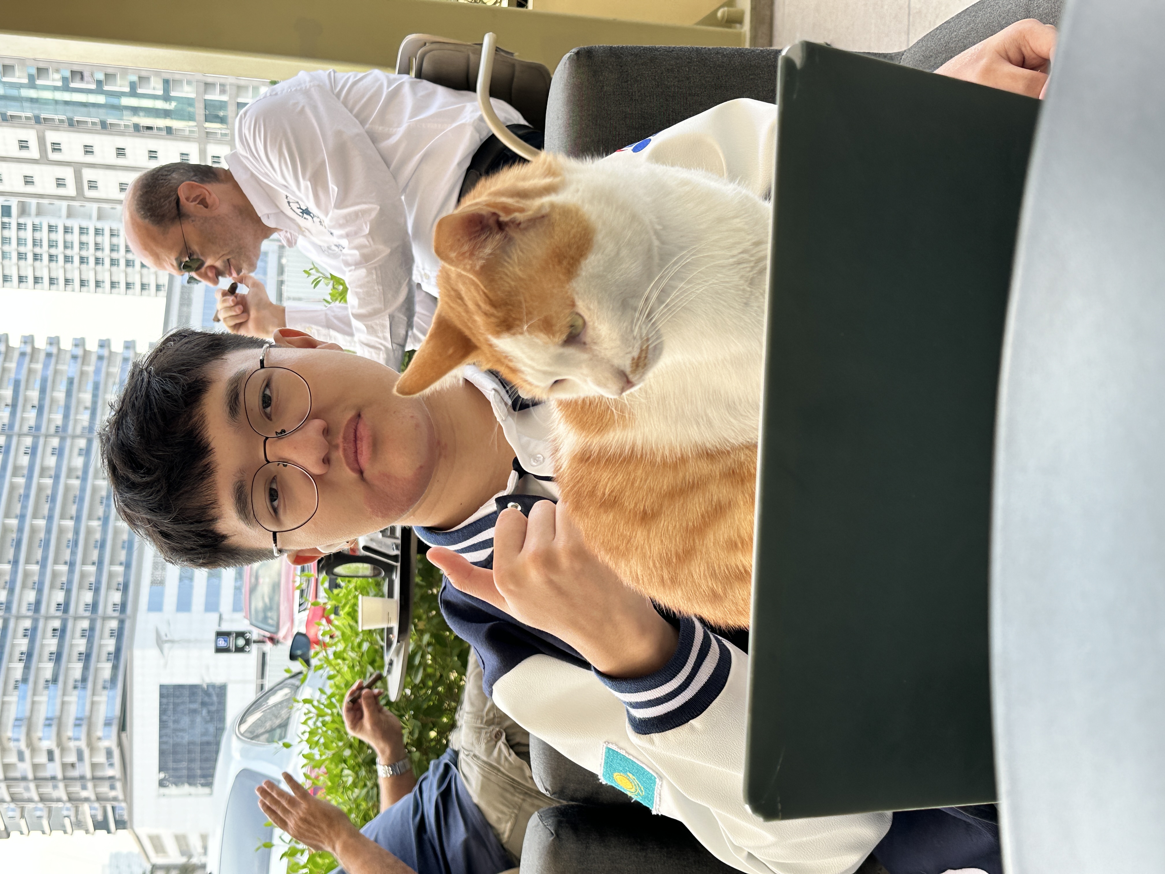 image-12