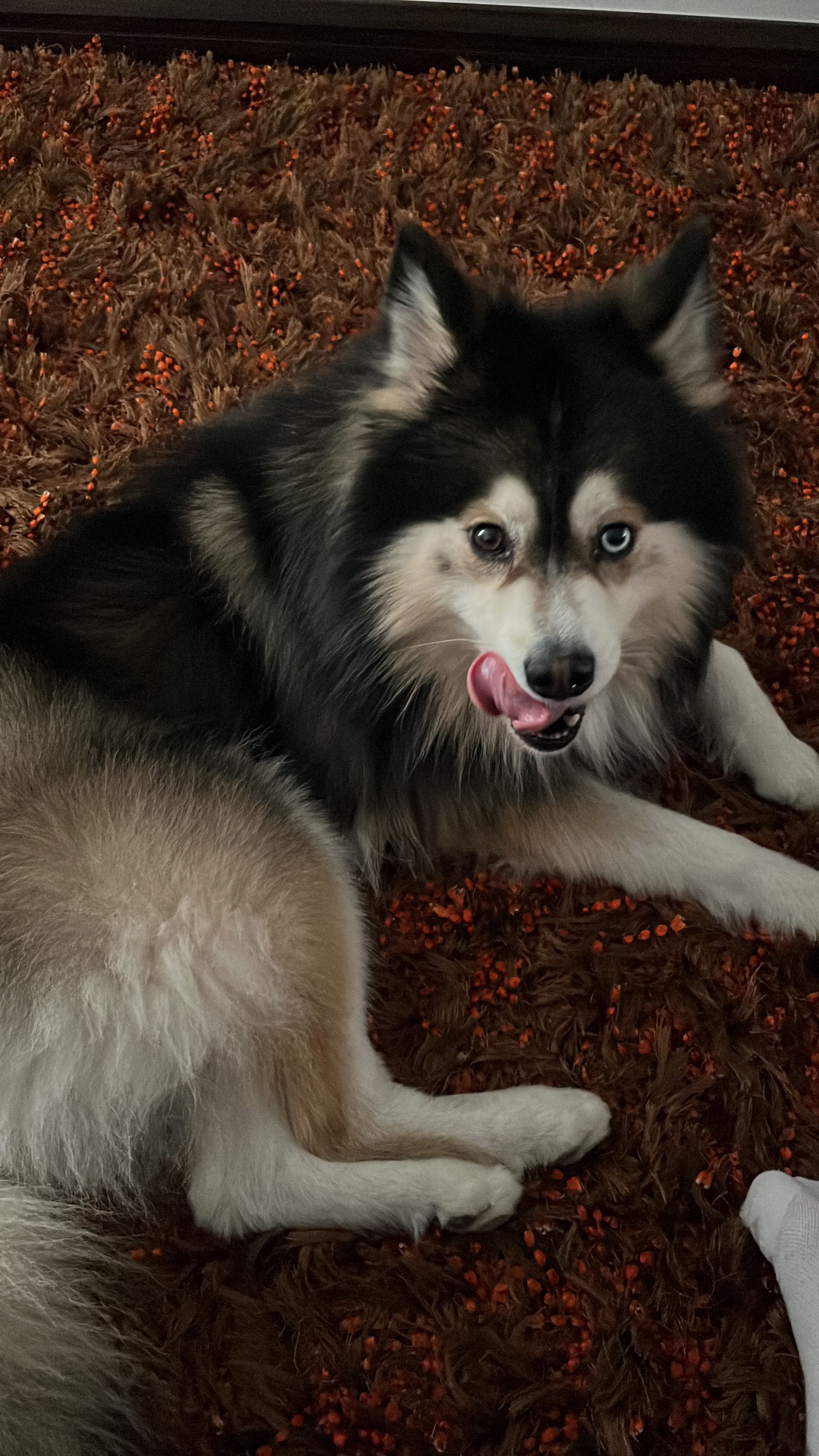 image-10