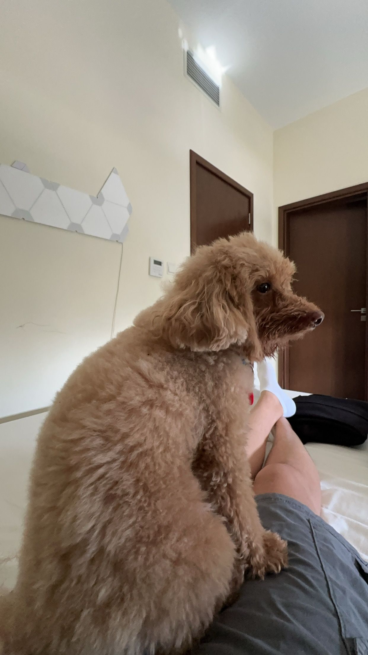 image-6