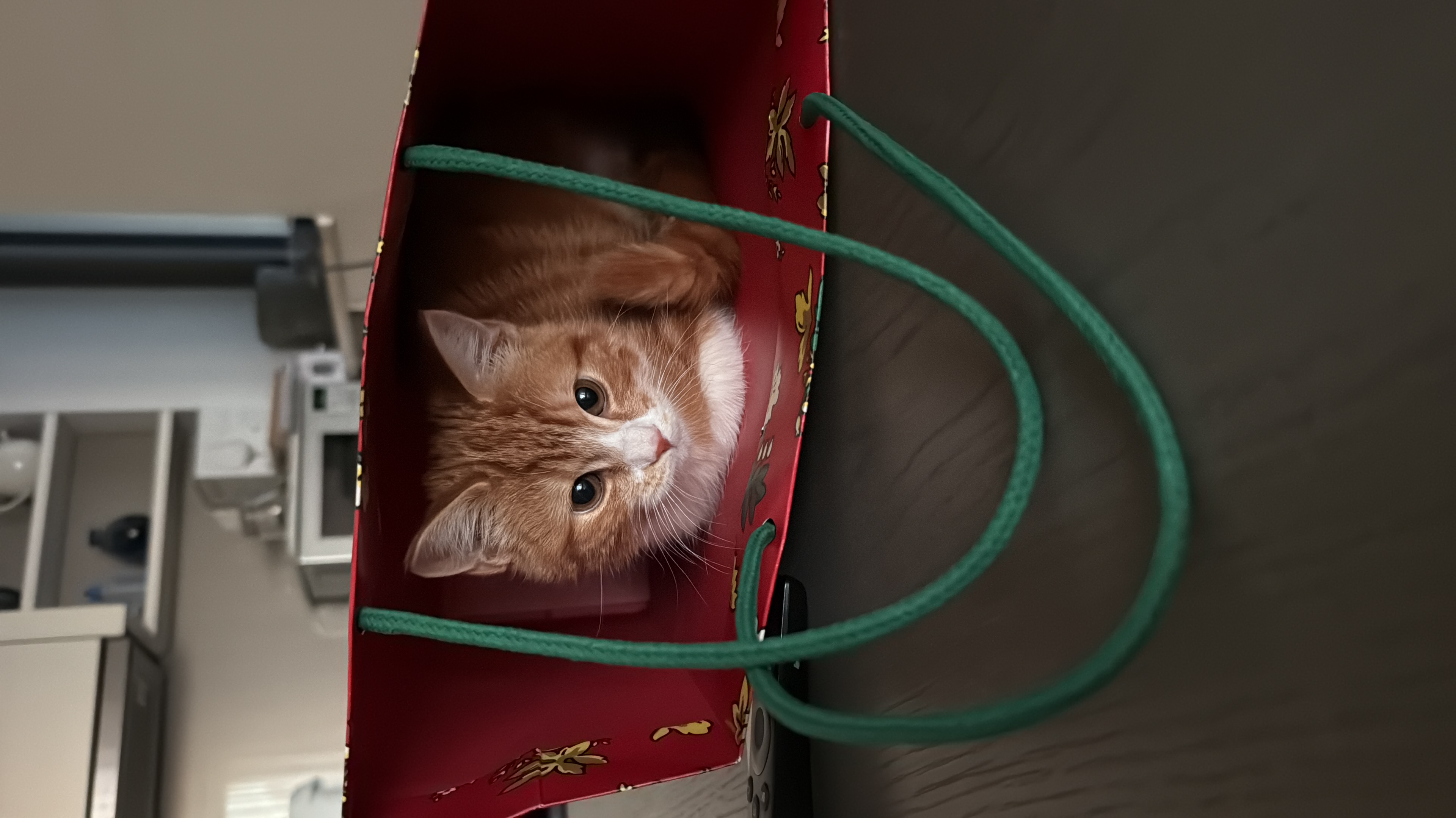 image-9