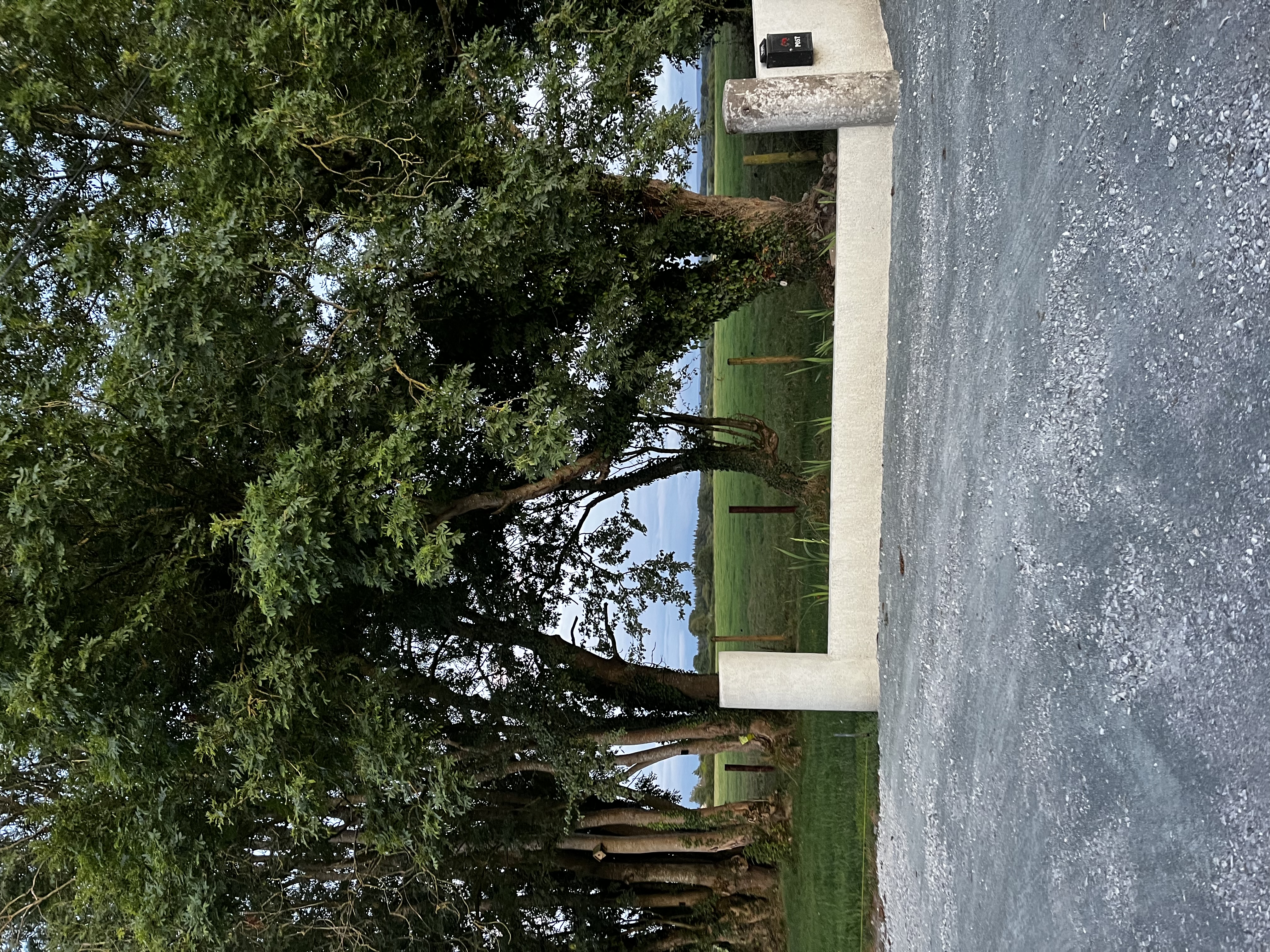 image-26