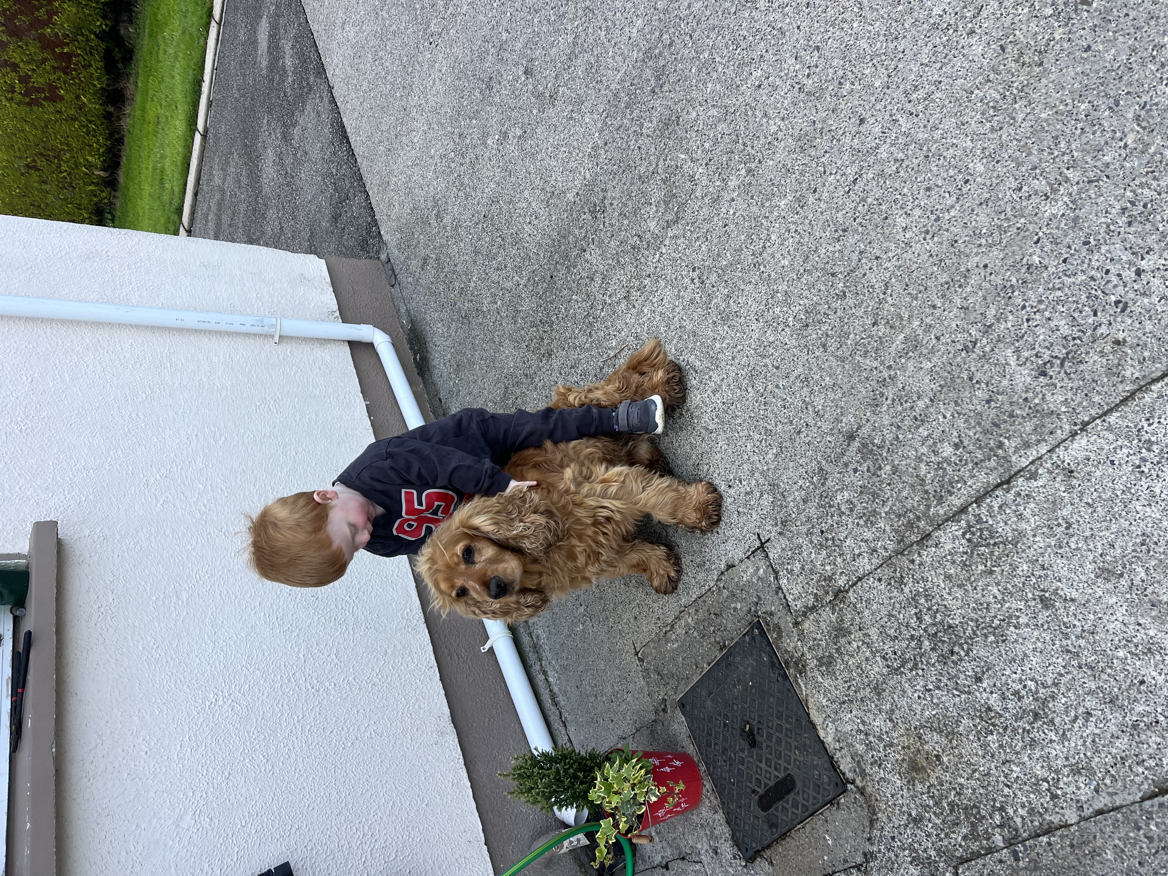 image-11