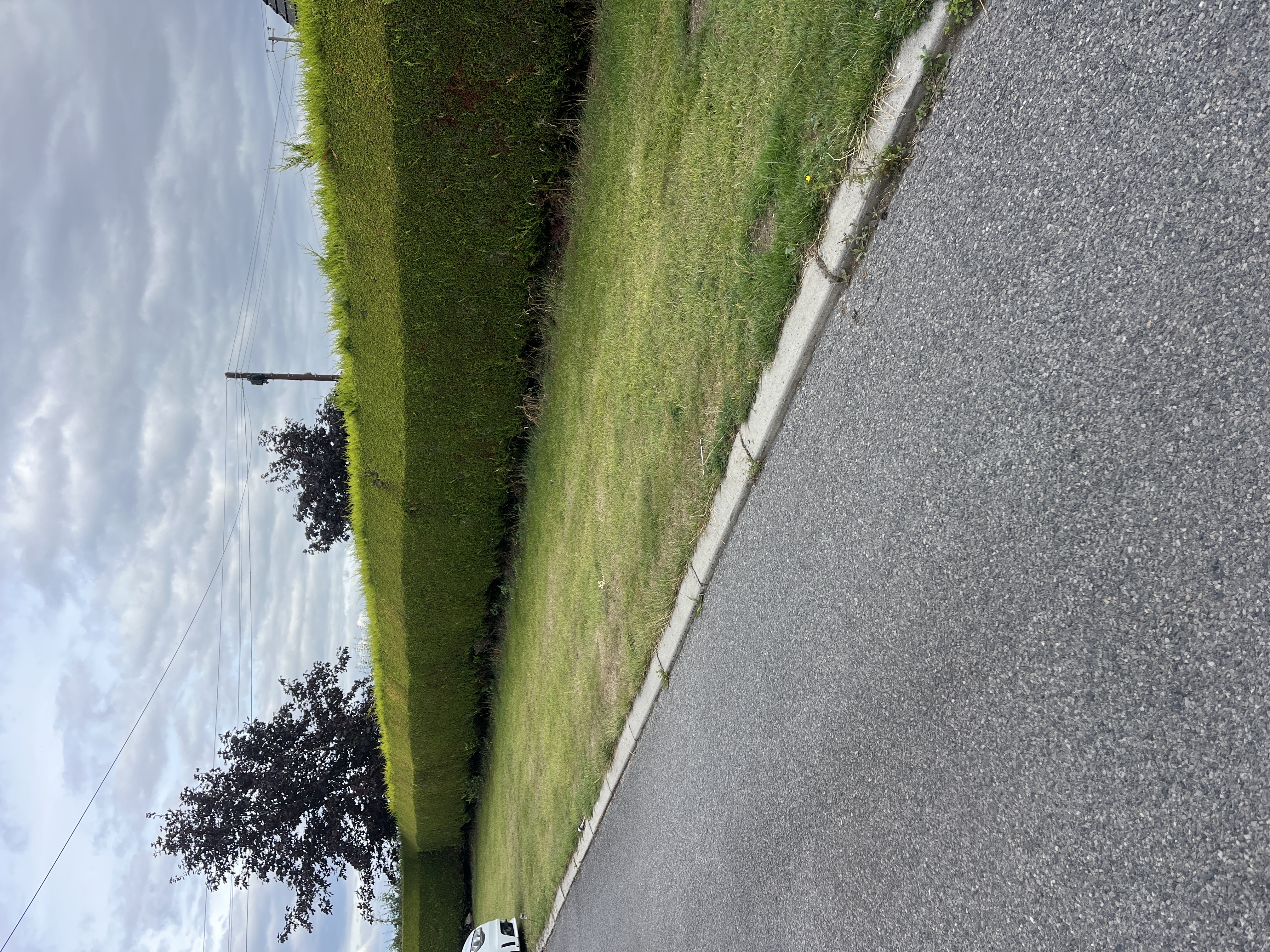 image-23