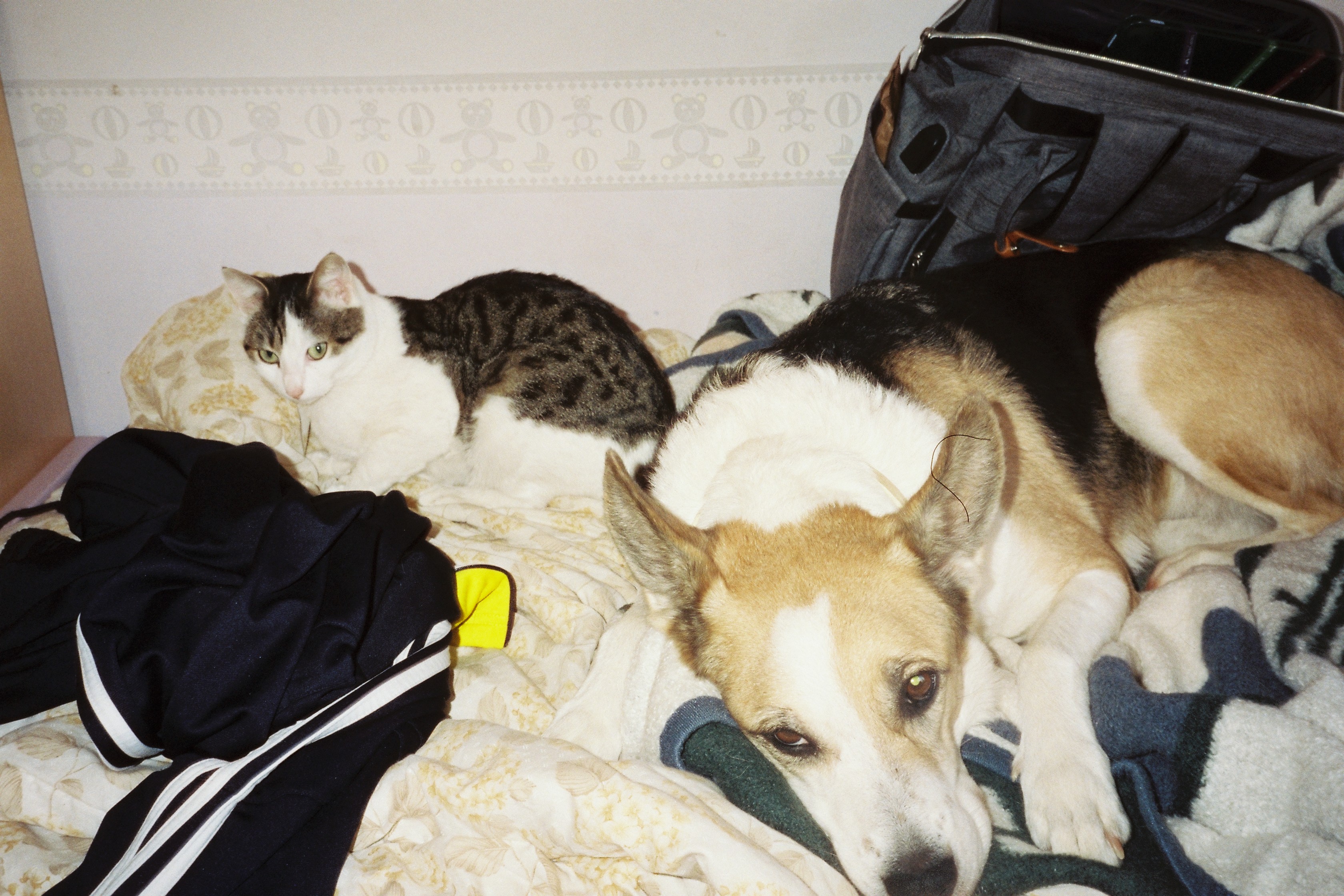 image-8