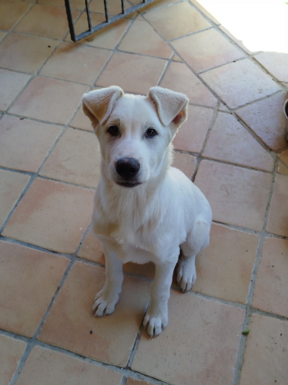 image-5