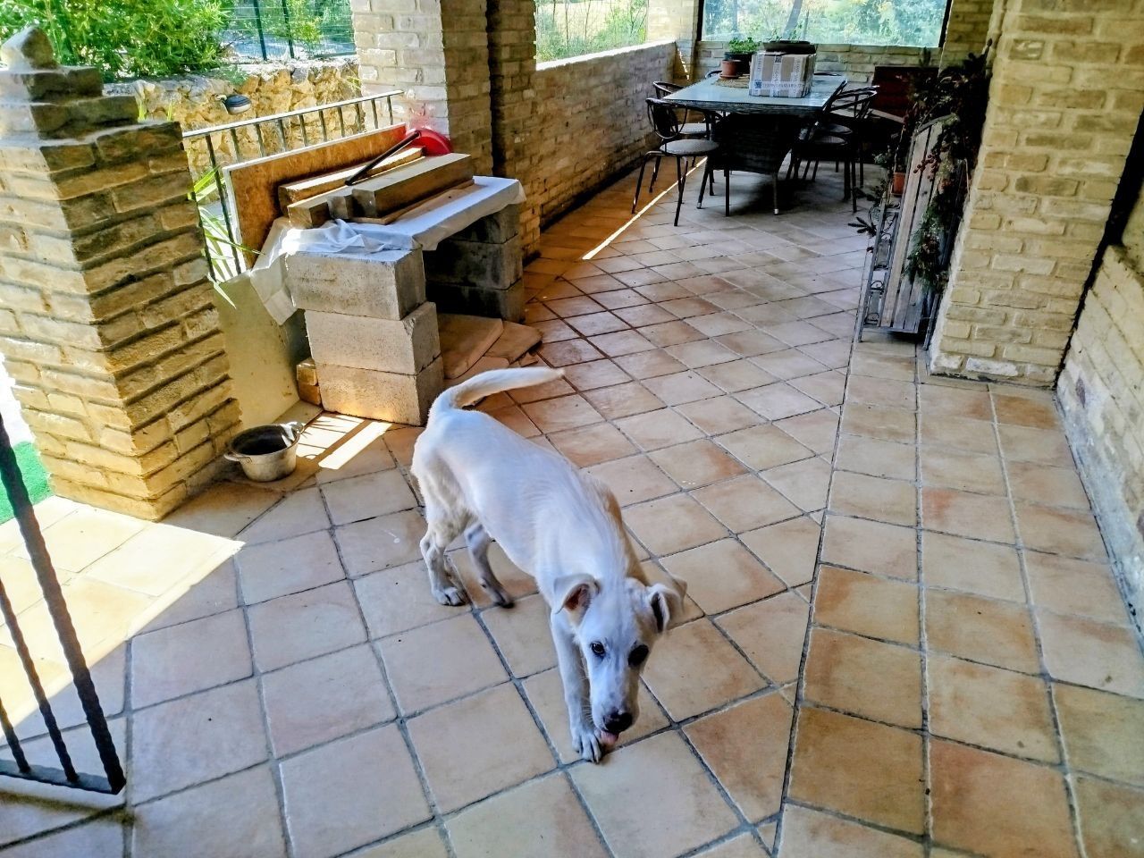 image-7