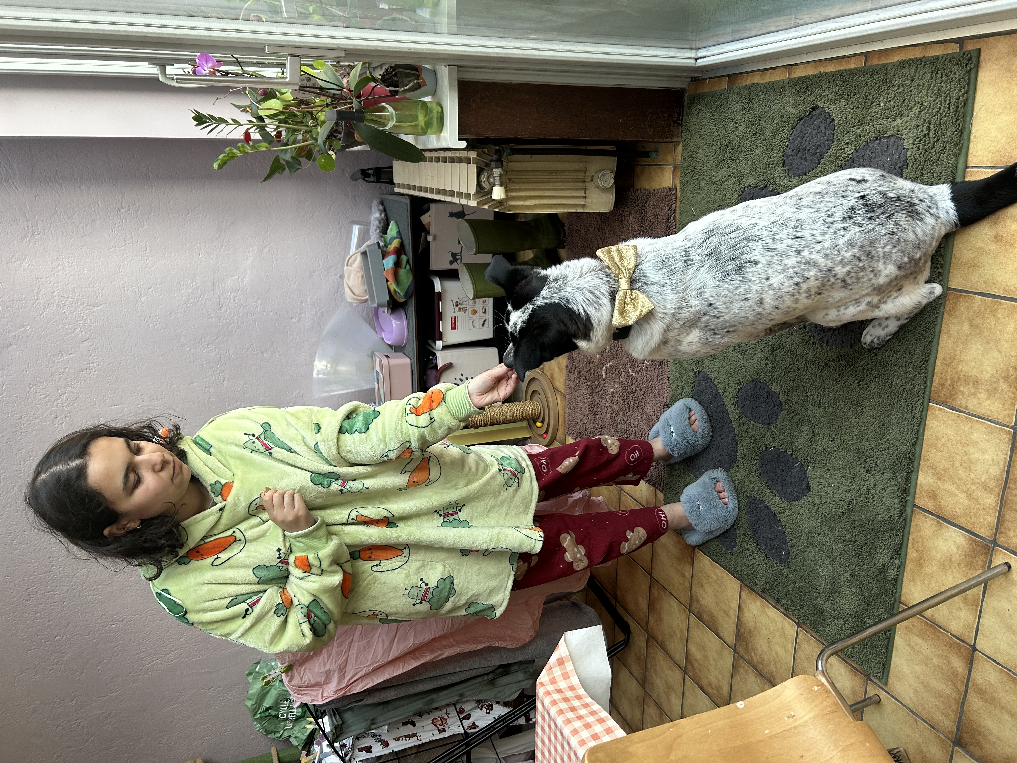 image-15