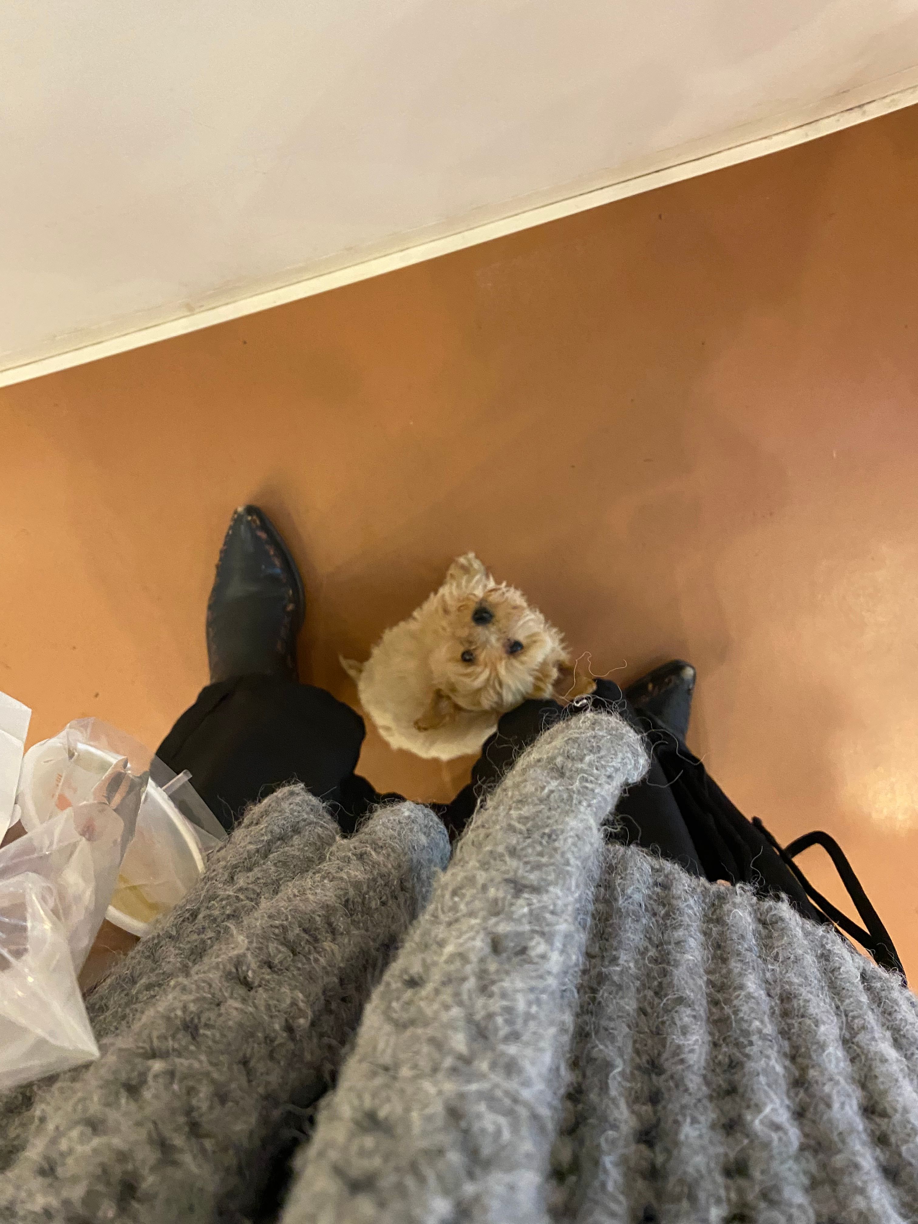 image-12