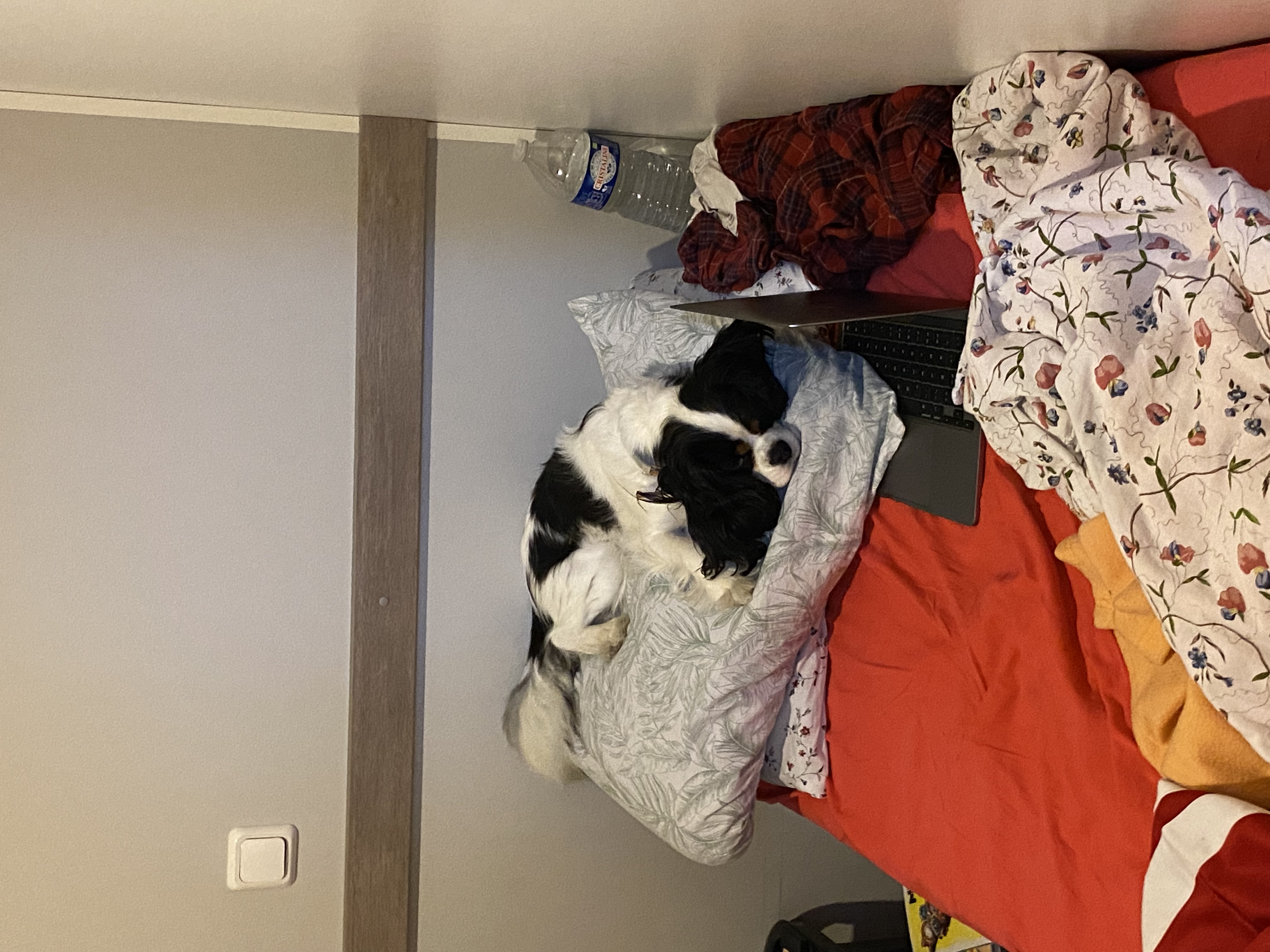 image-27