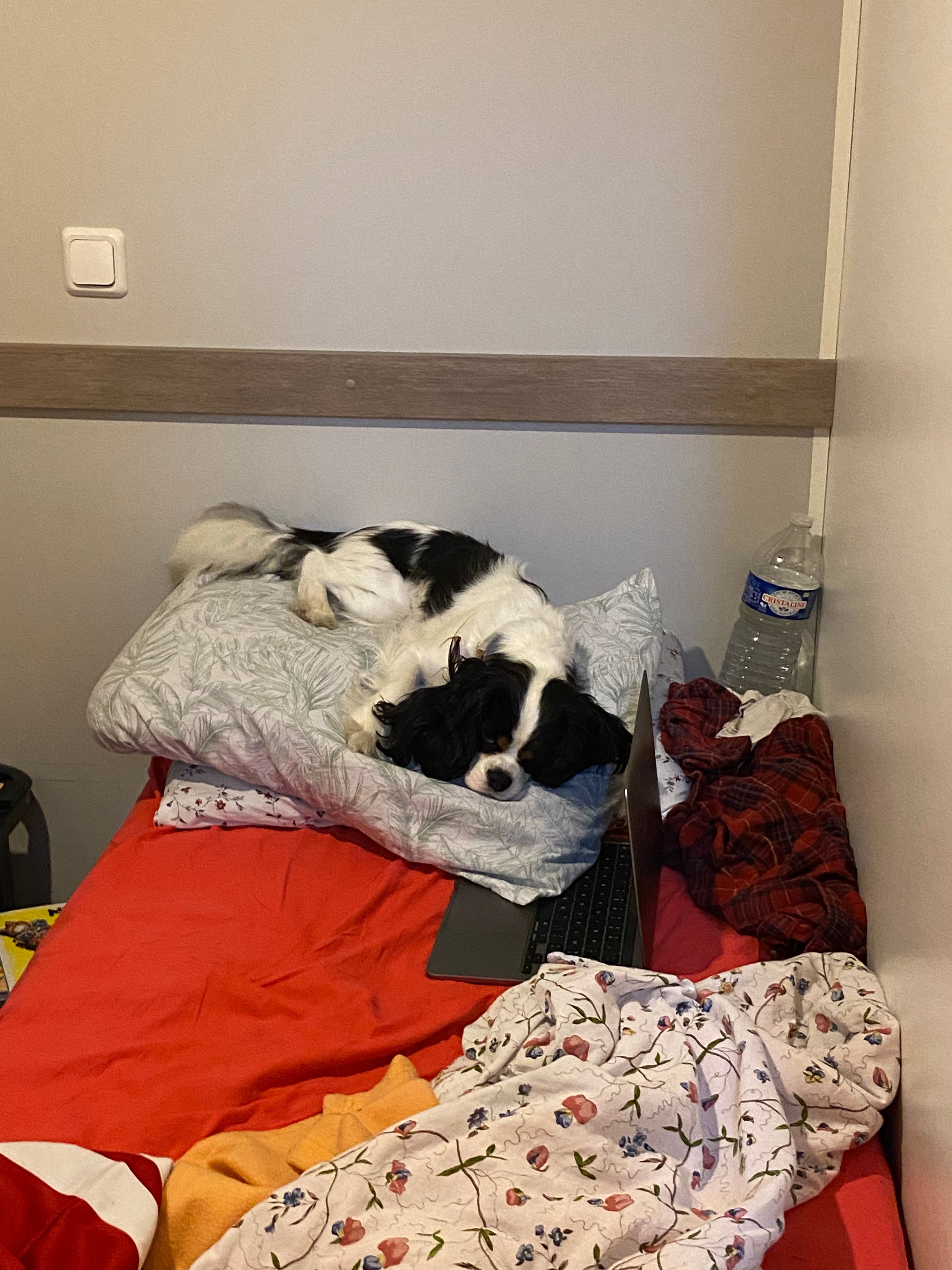 image-27