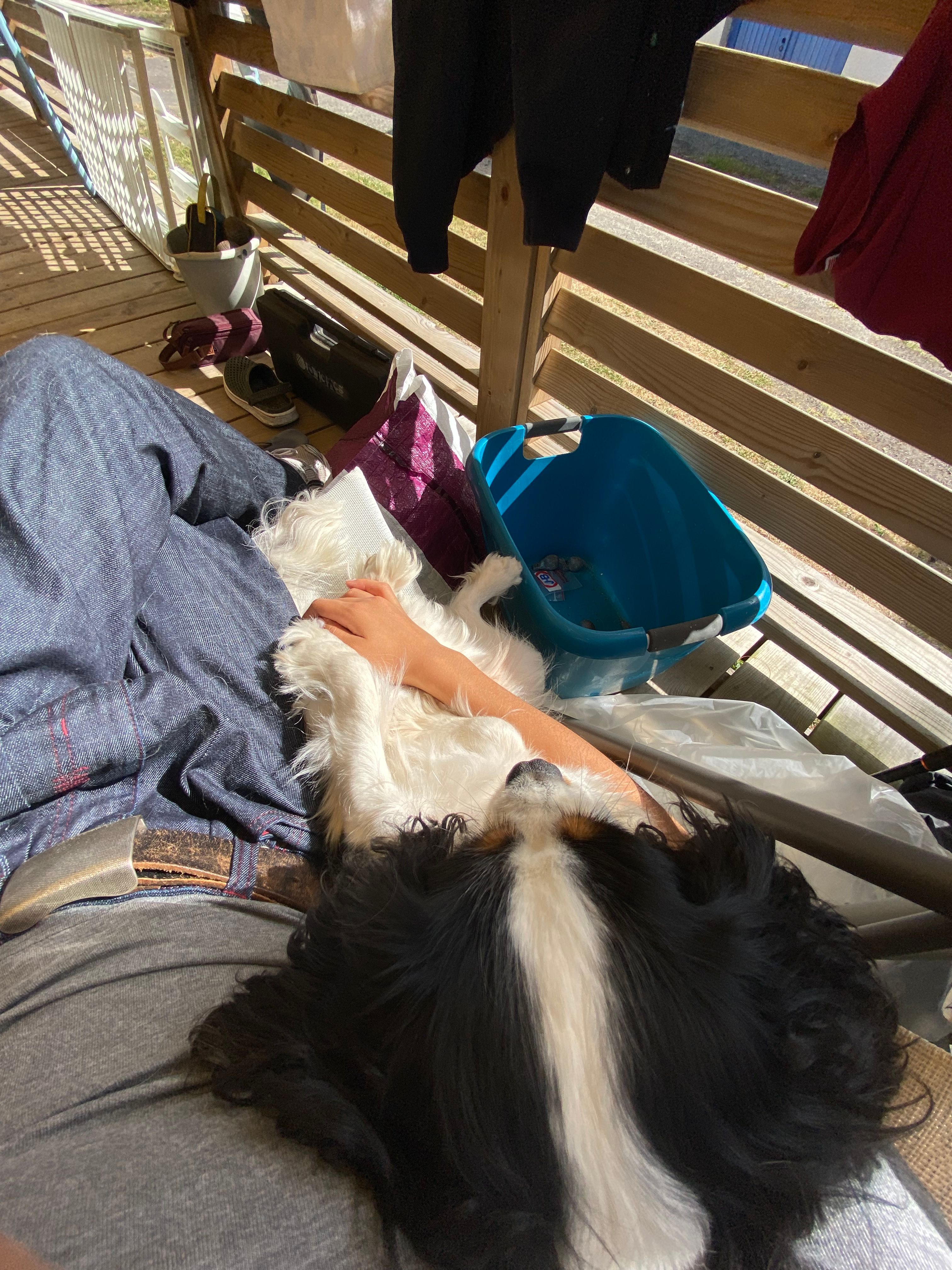 image-7
