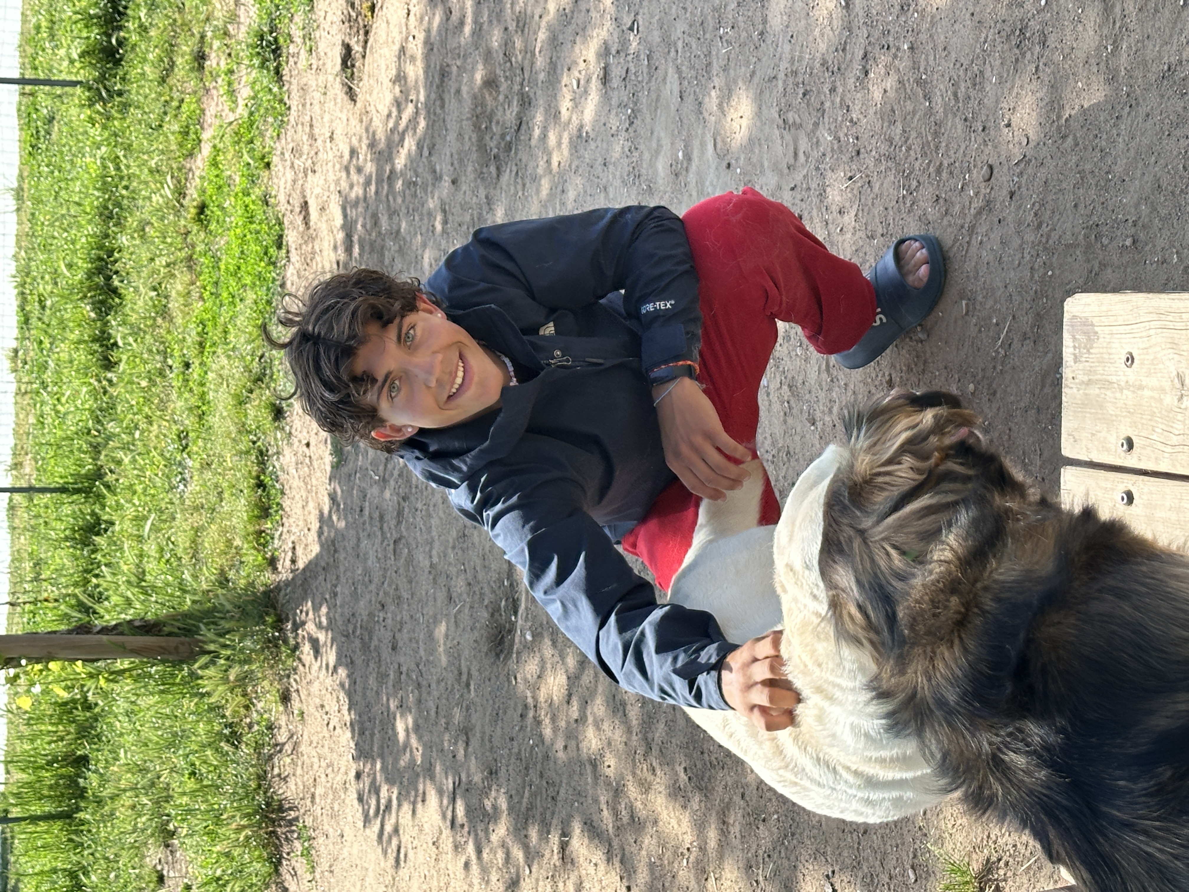 image-6