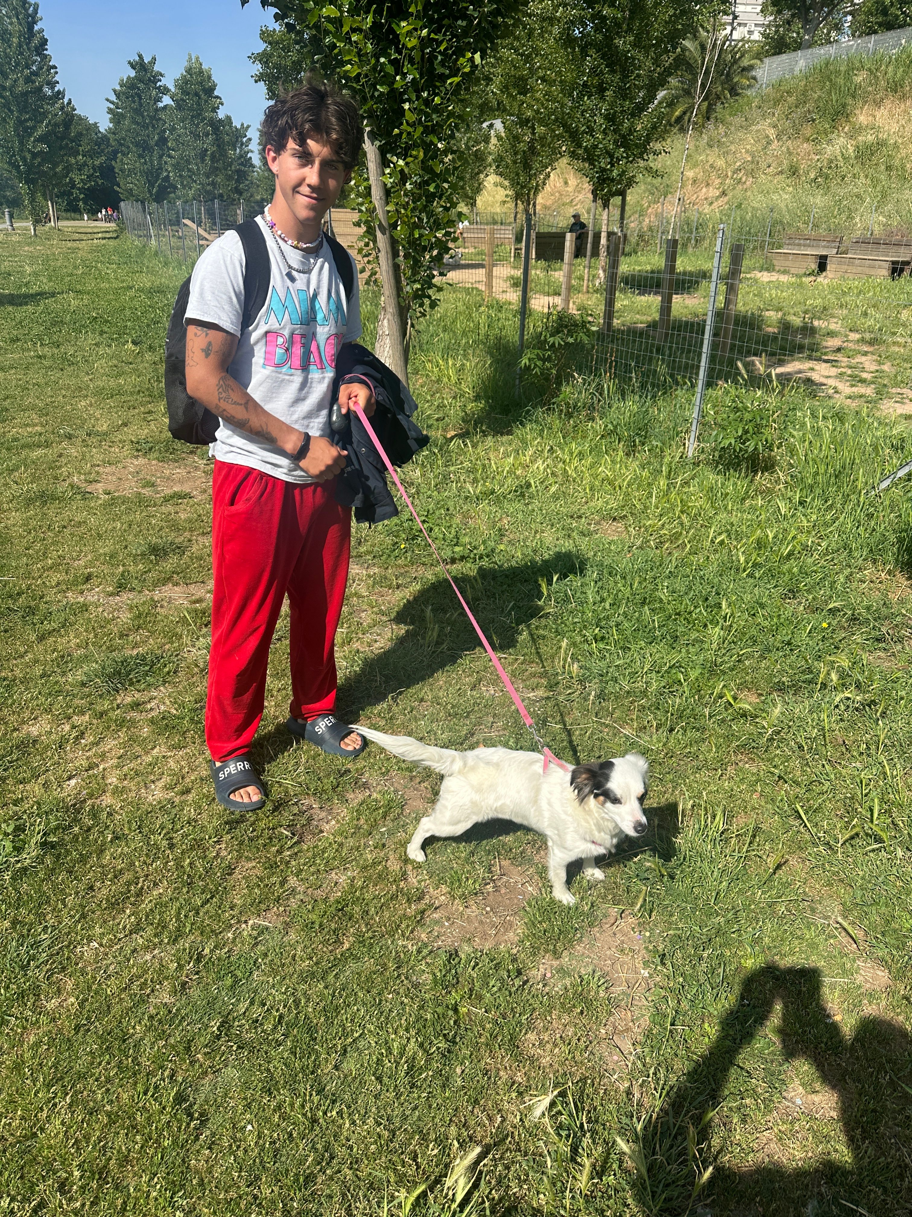 image-9