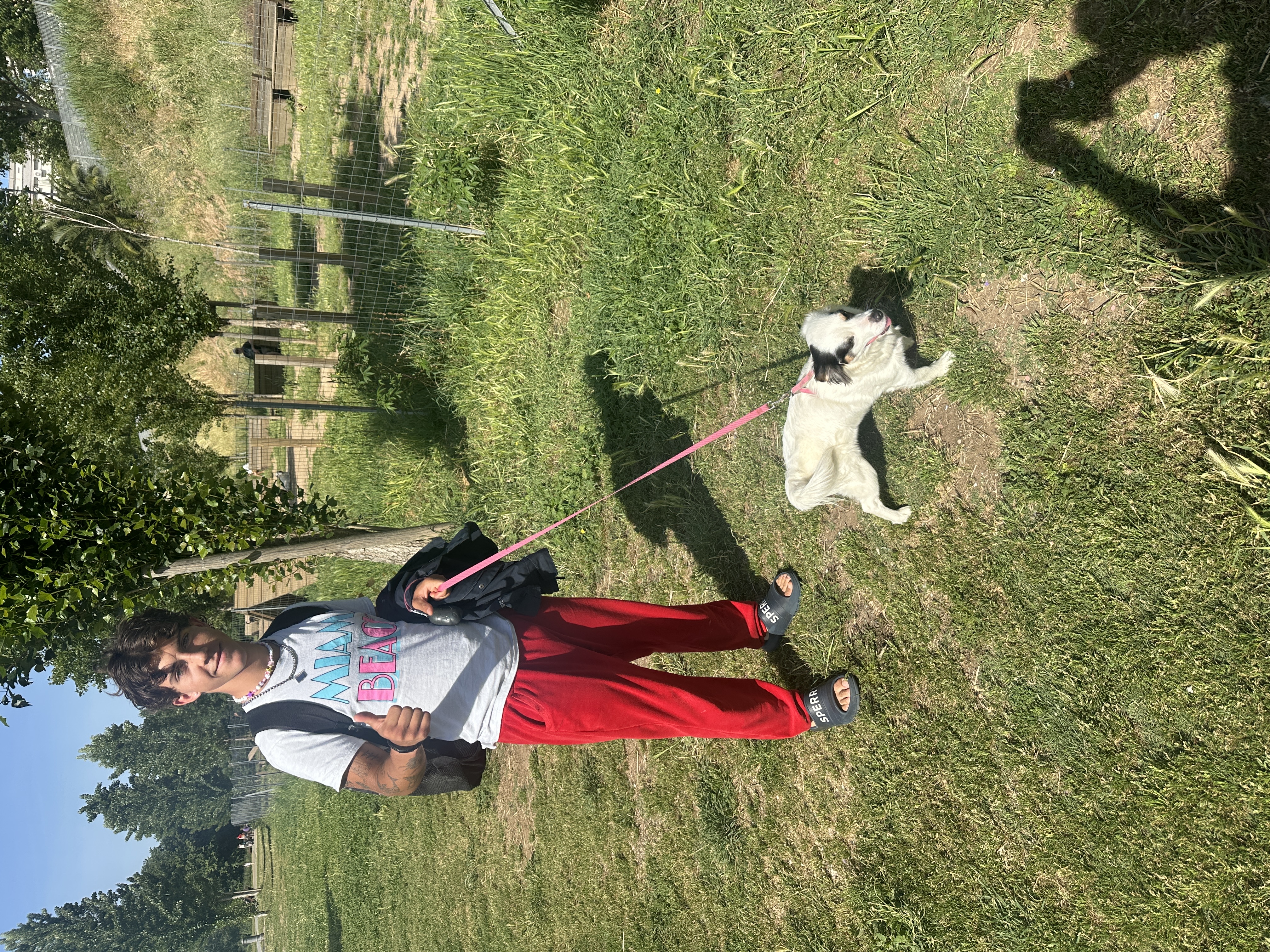 image-3