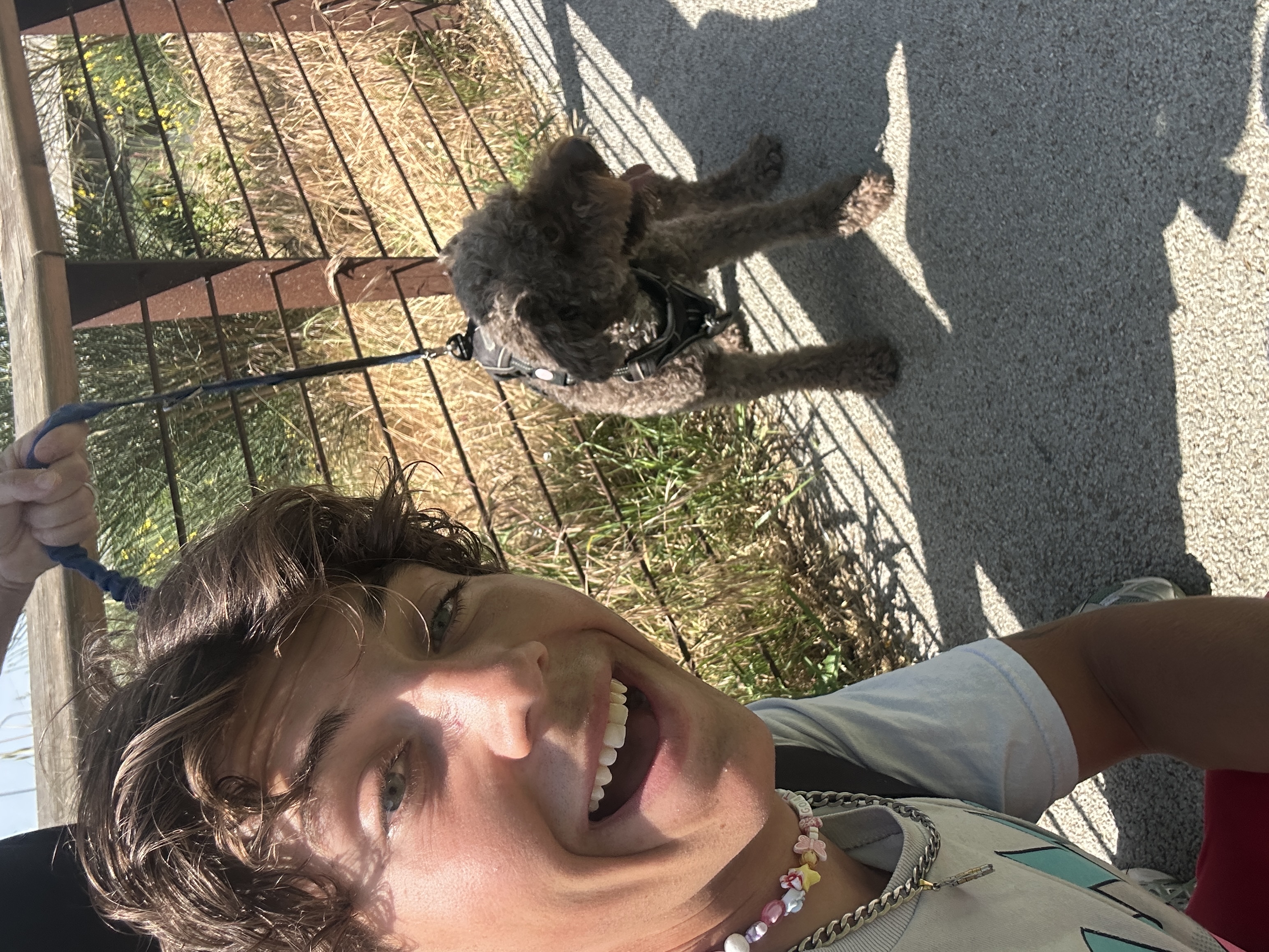 image-0
