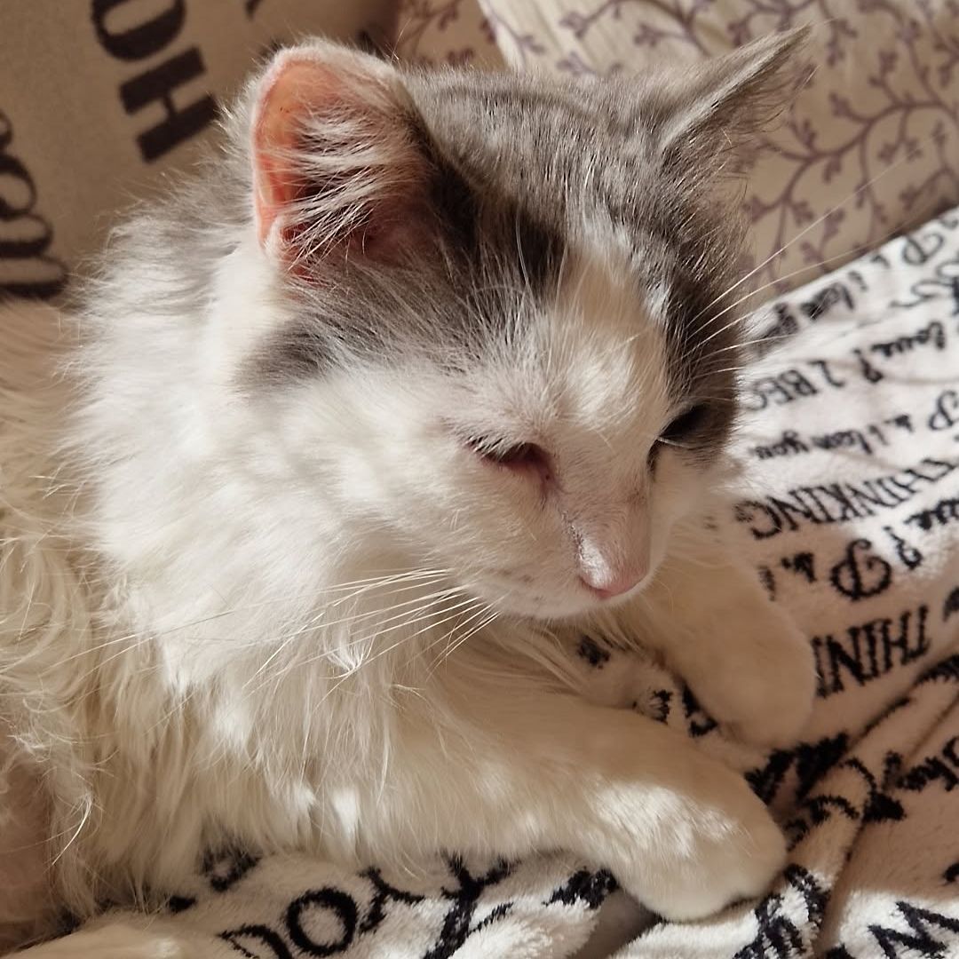 Fluffy