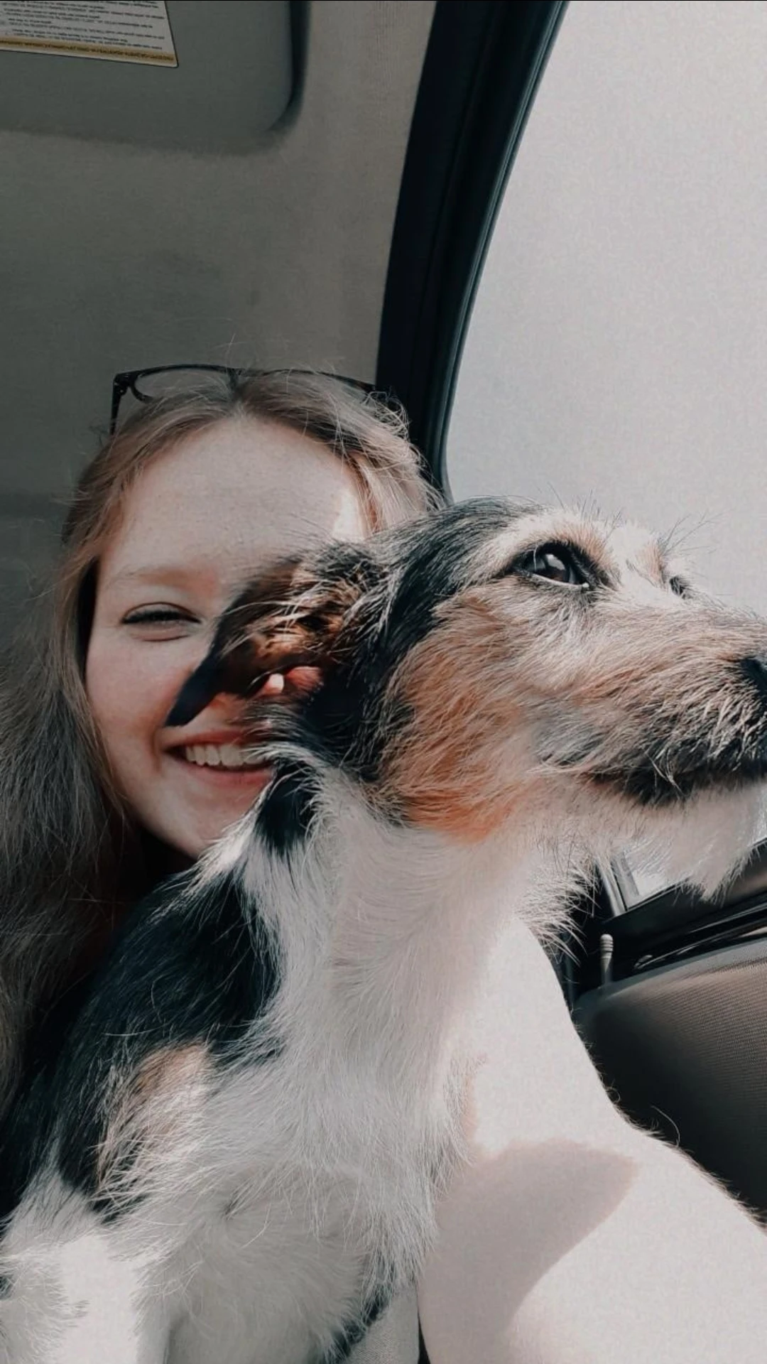 image-8