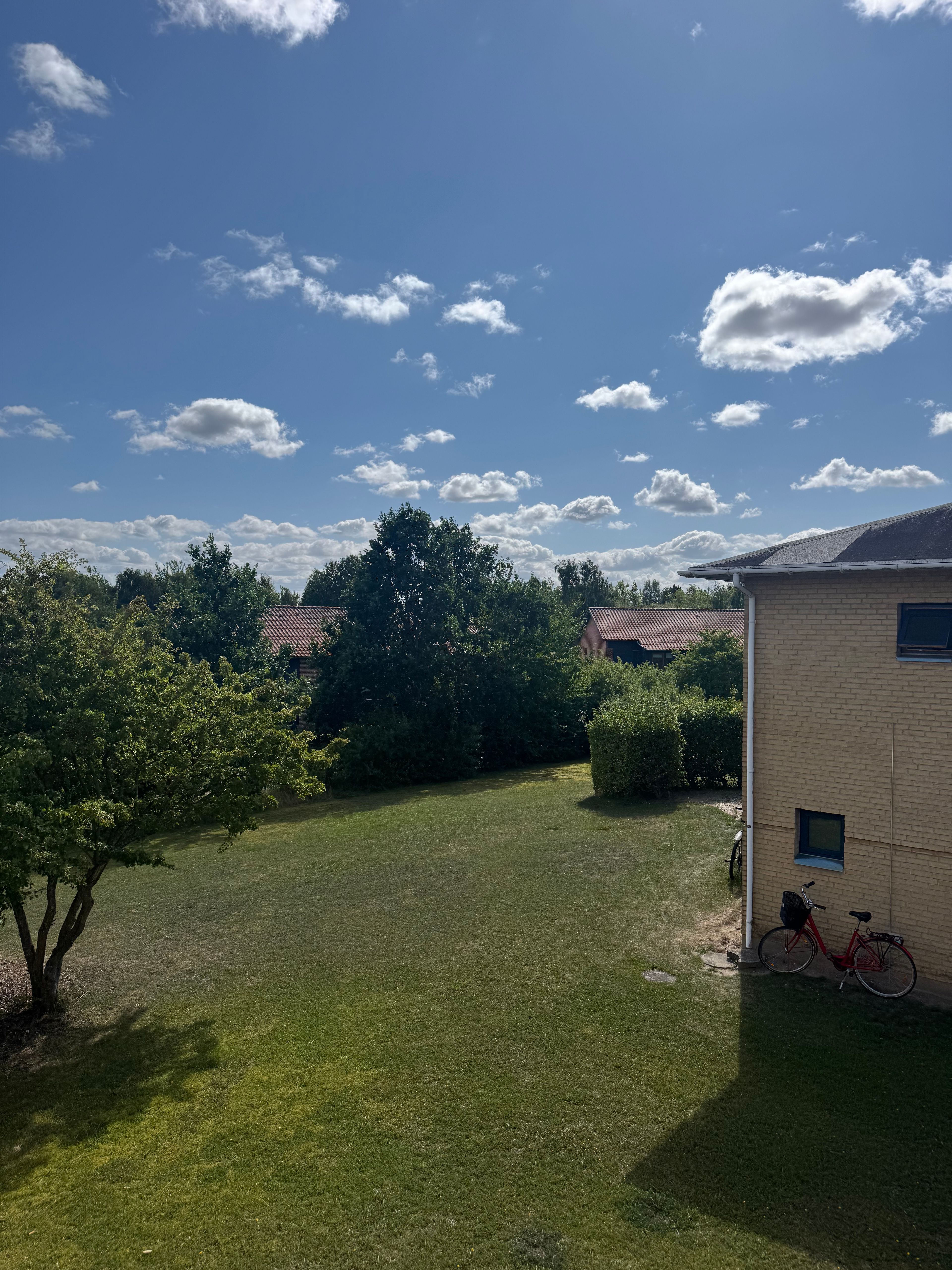 image-17