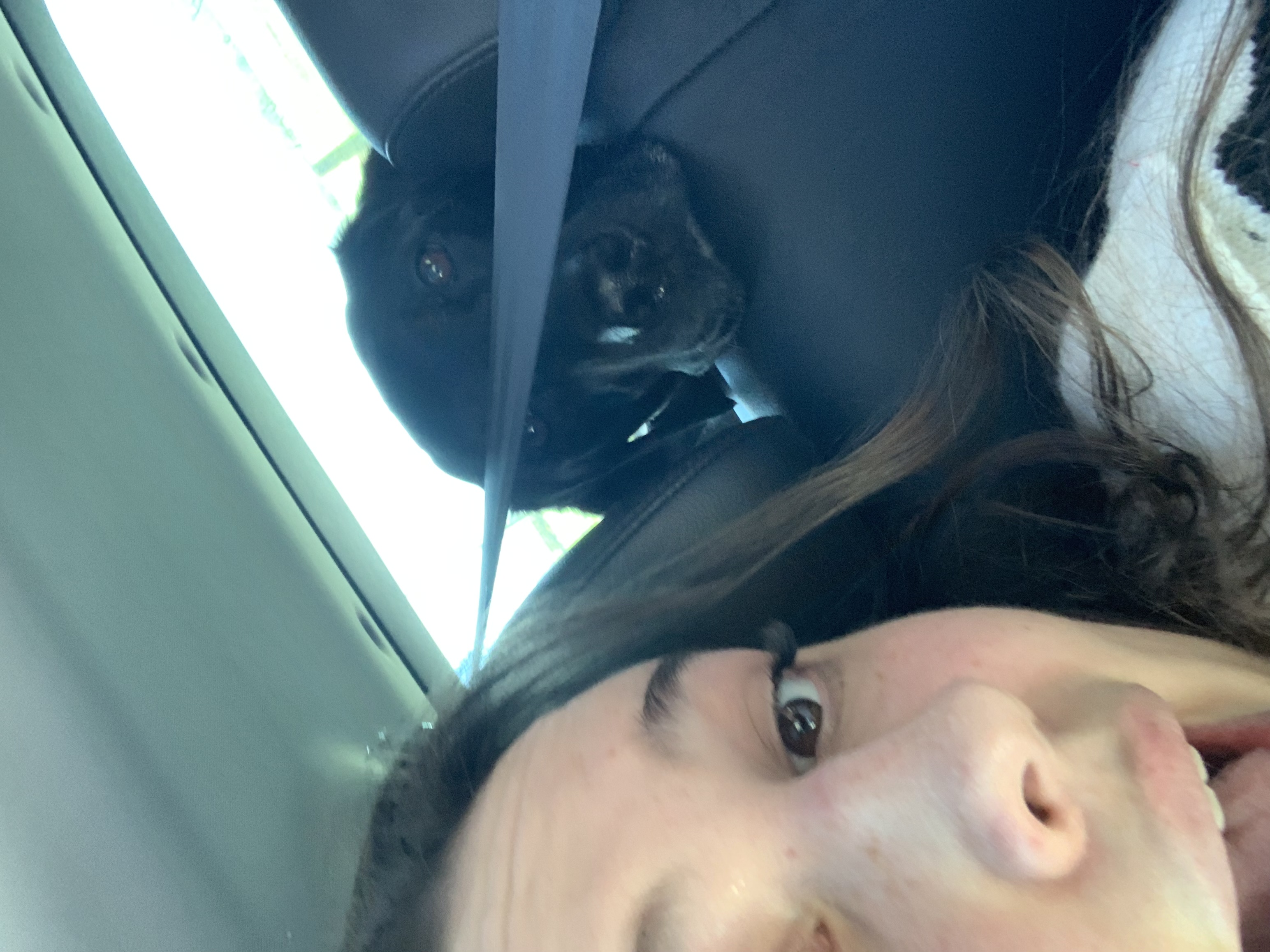 image-7