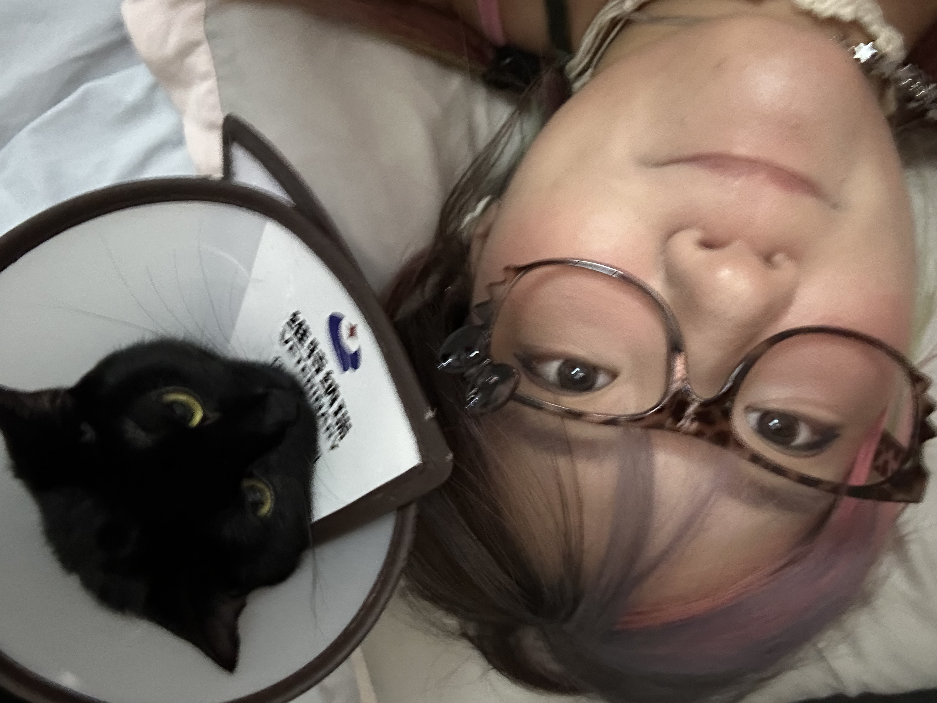 image-6