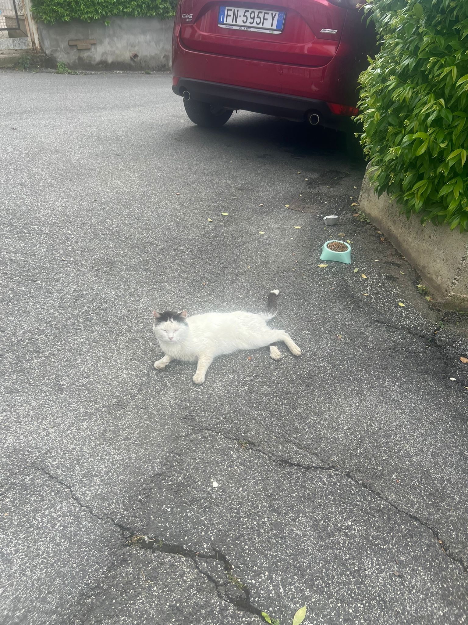 image-7