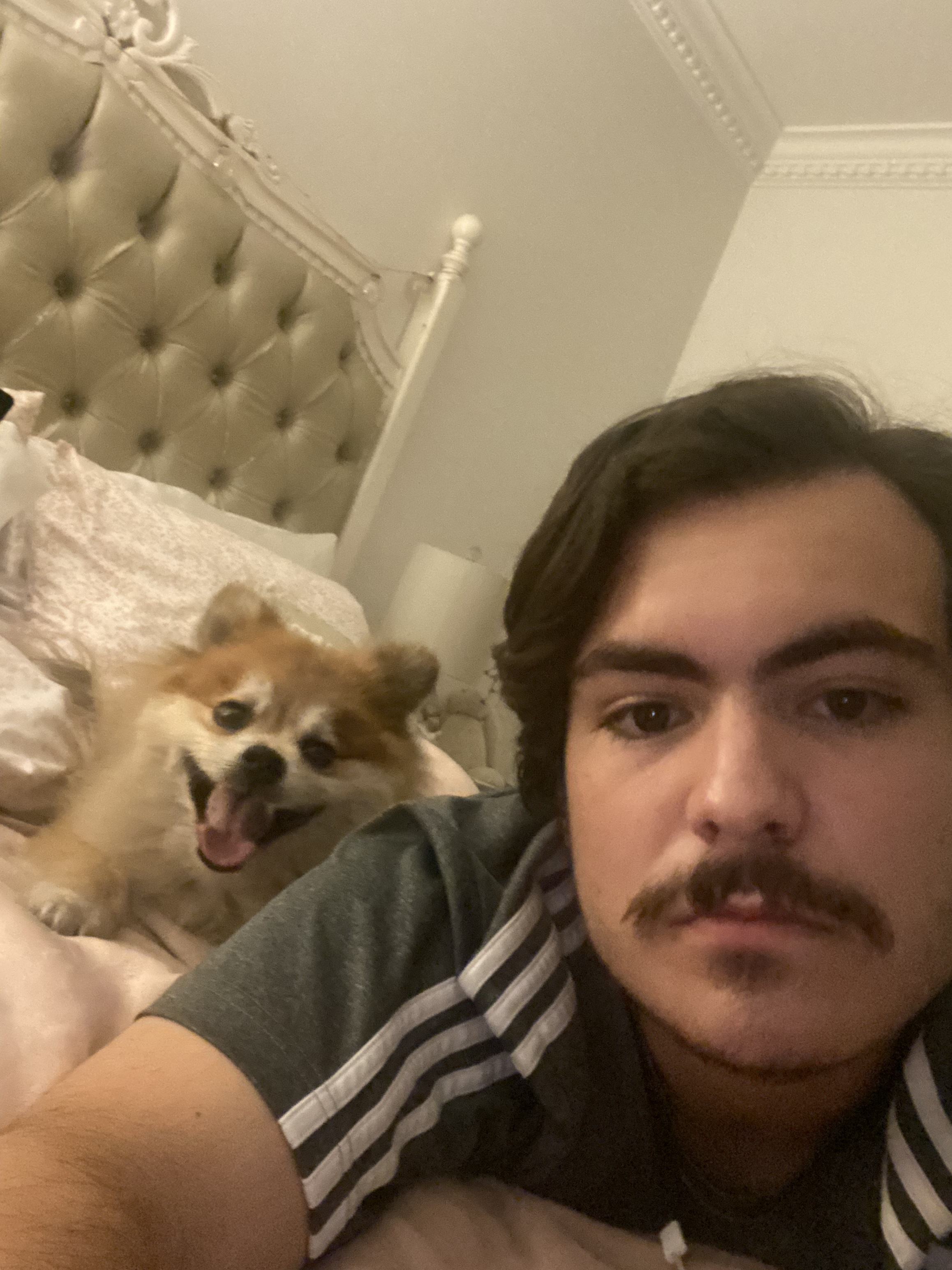 image-10