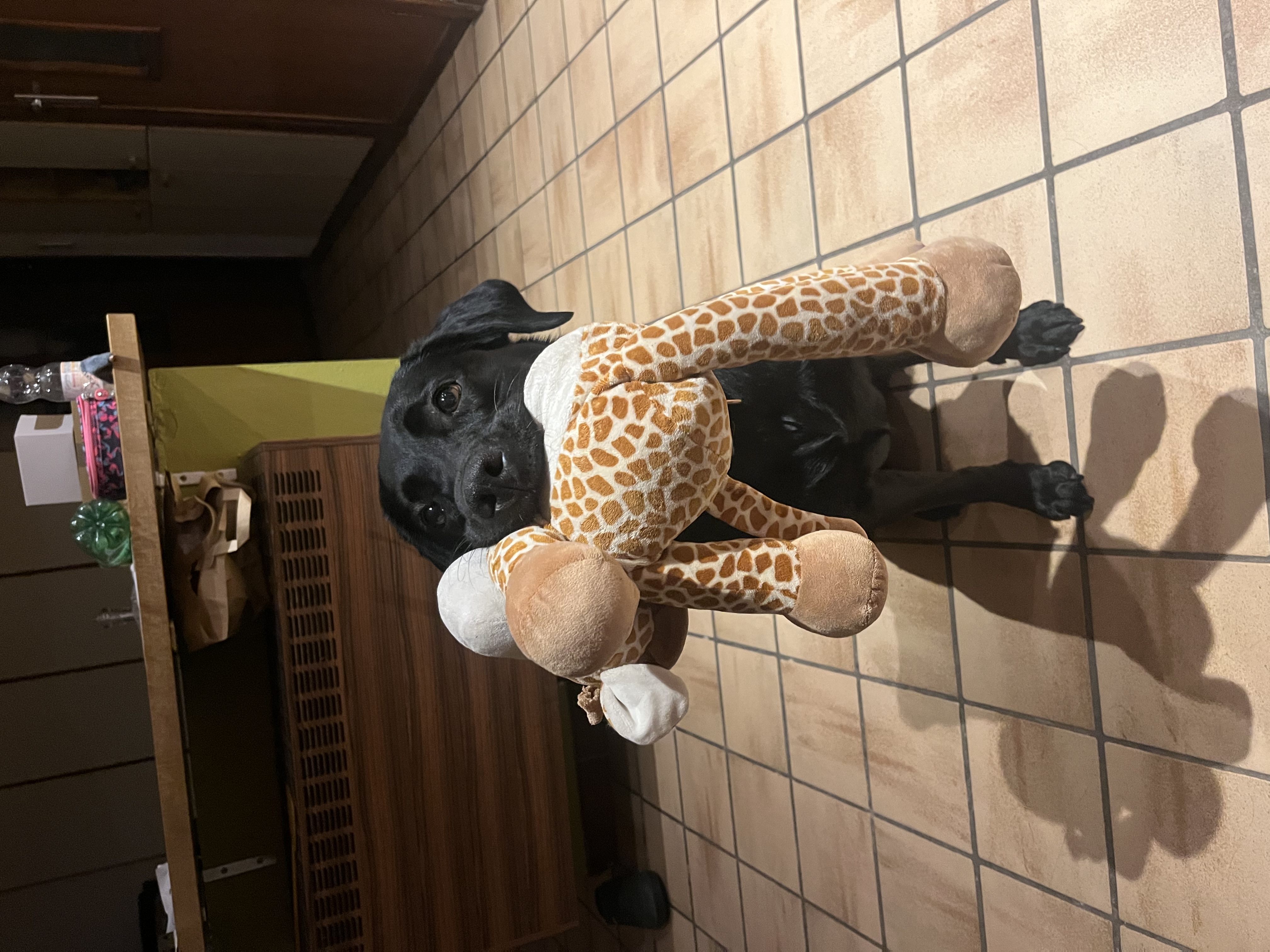 image-14