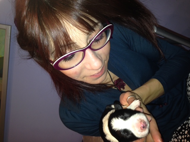 image-11