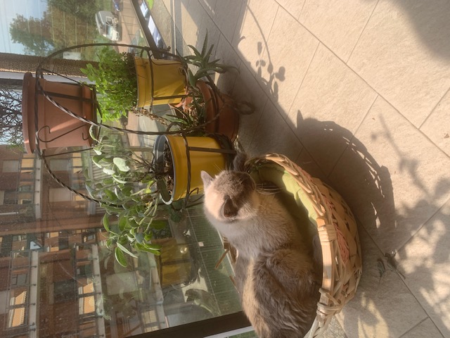 image-14