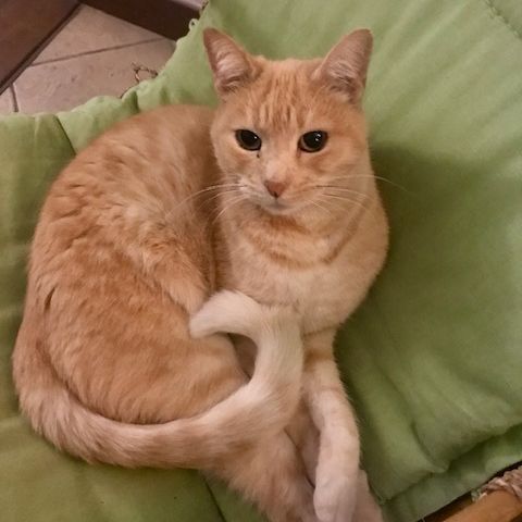 Marley