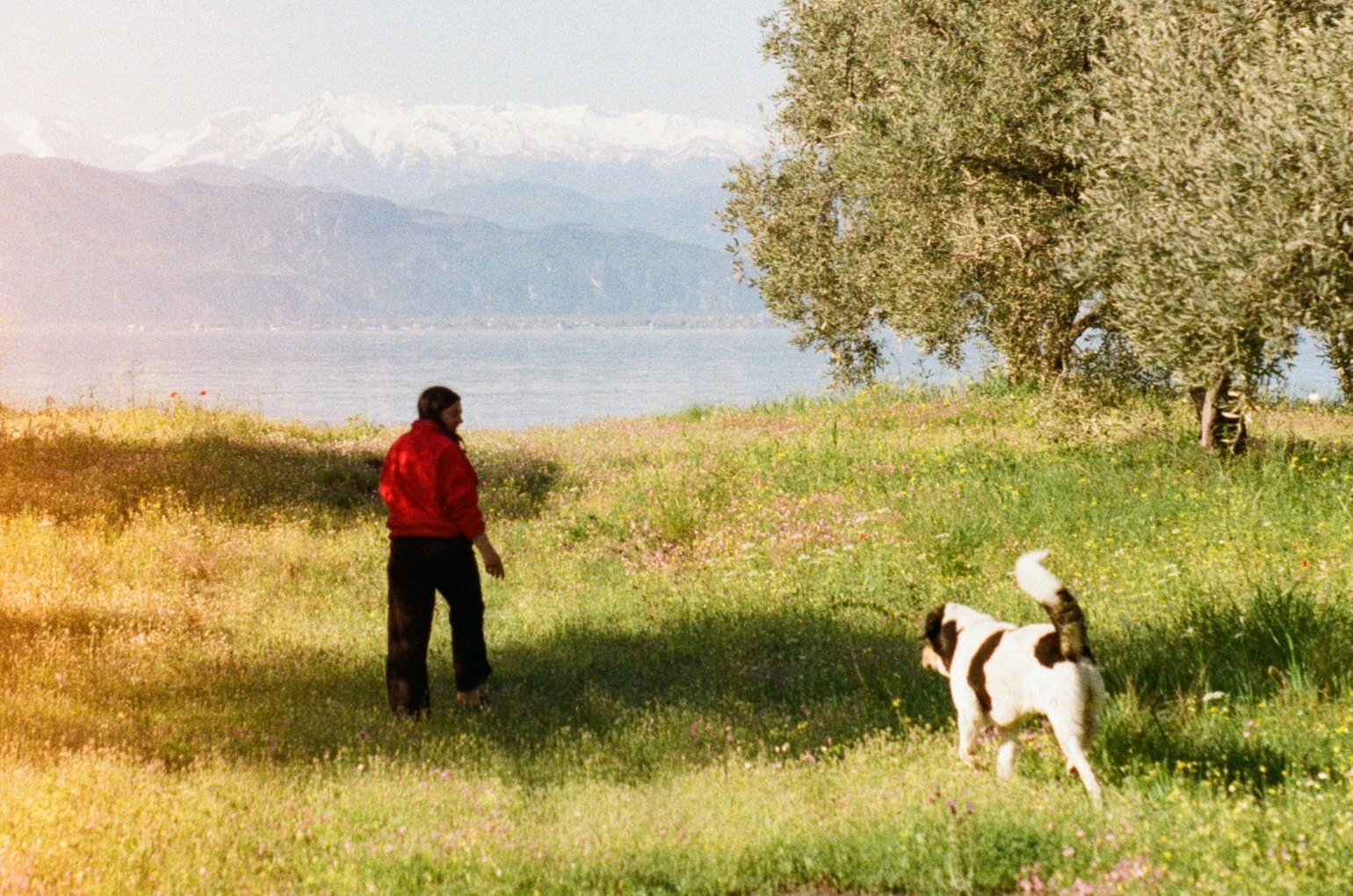image-0