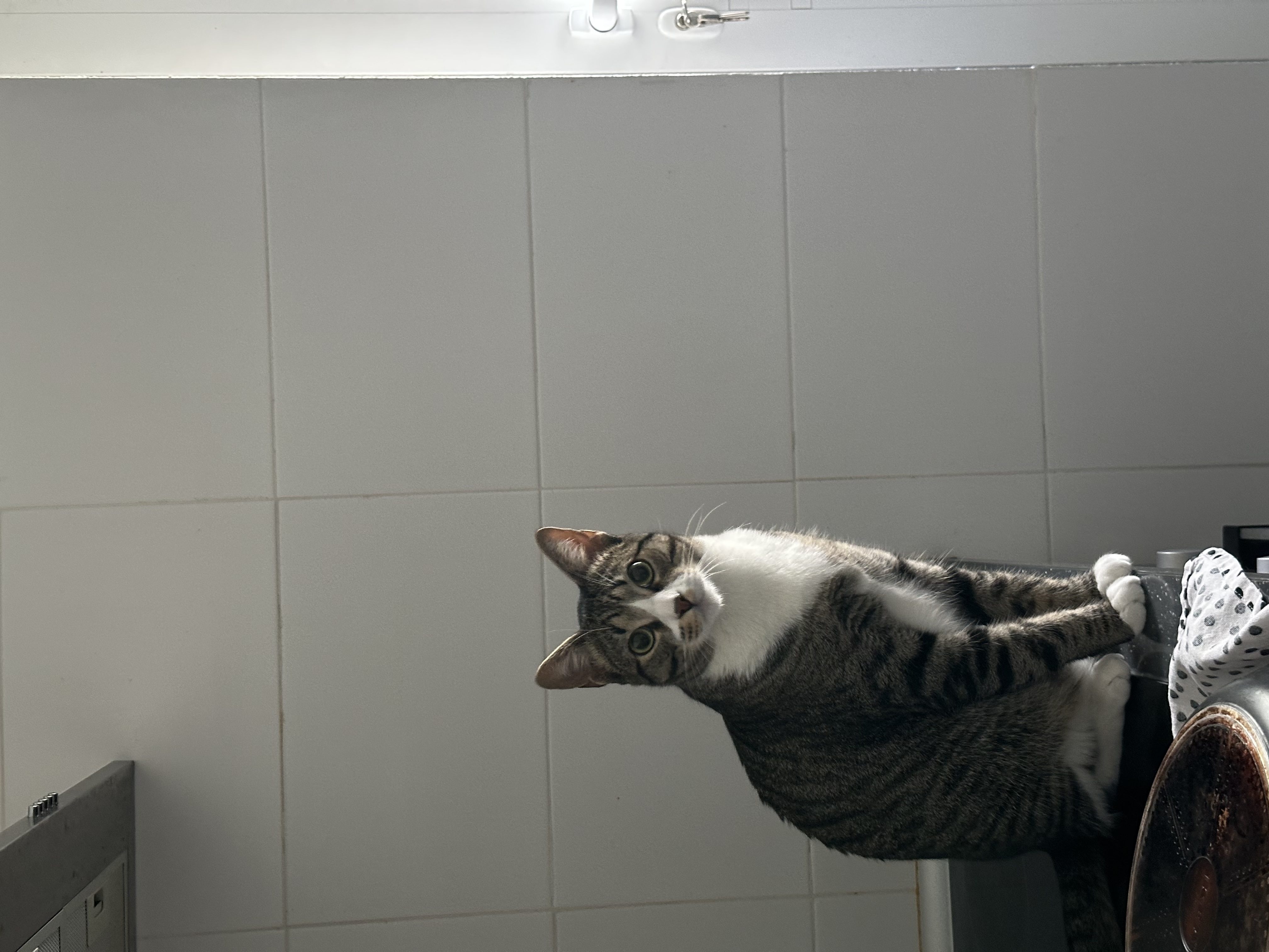image-9