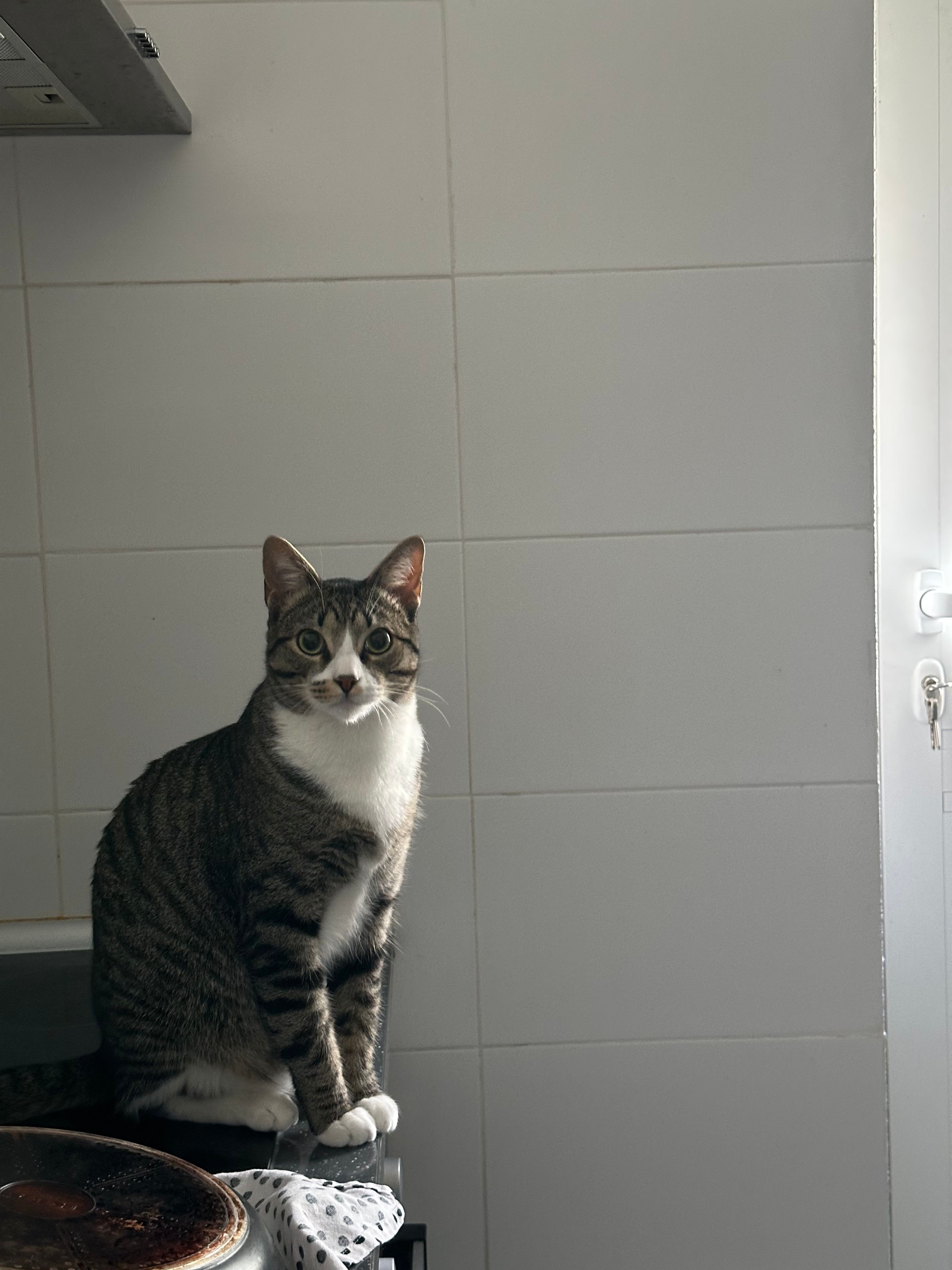 image-9