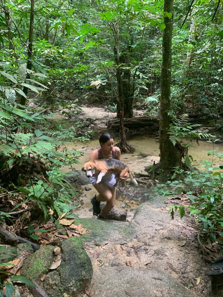 image-11