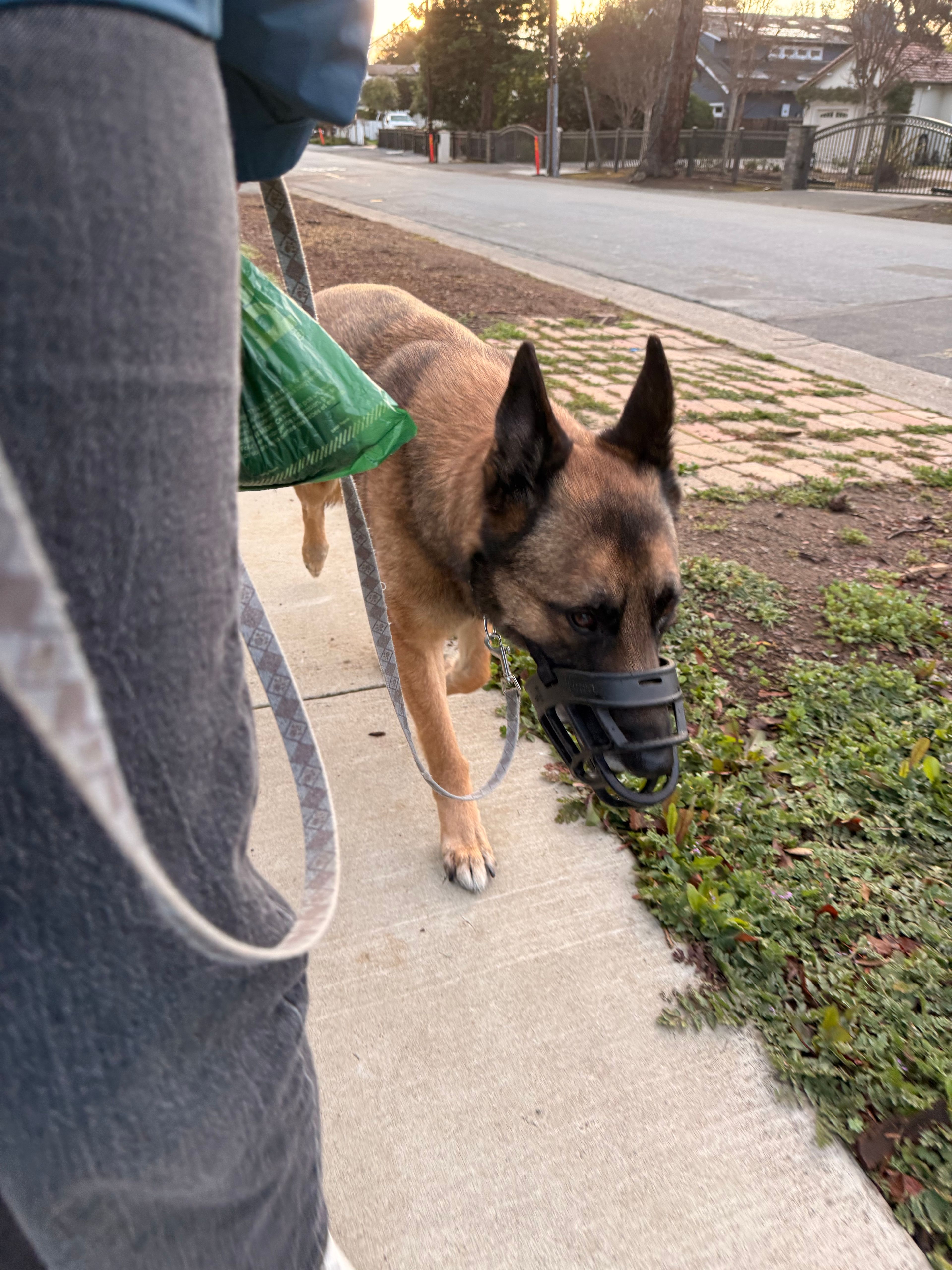 image-15