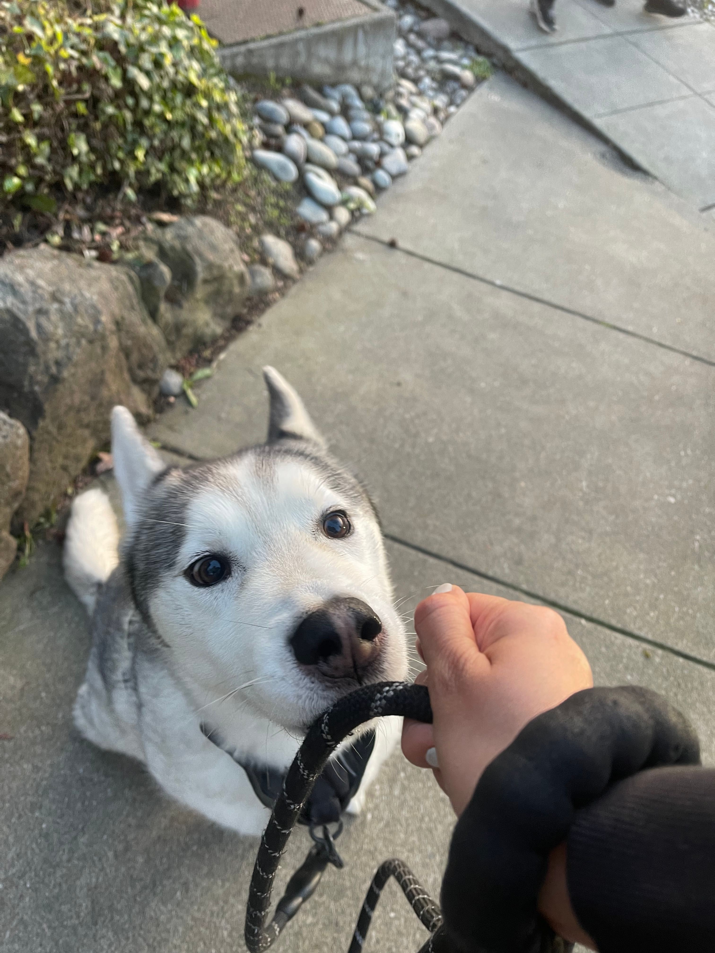 image-10
