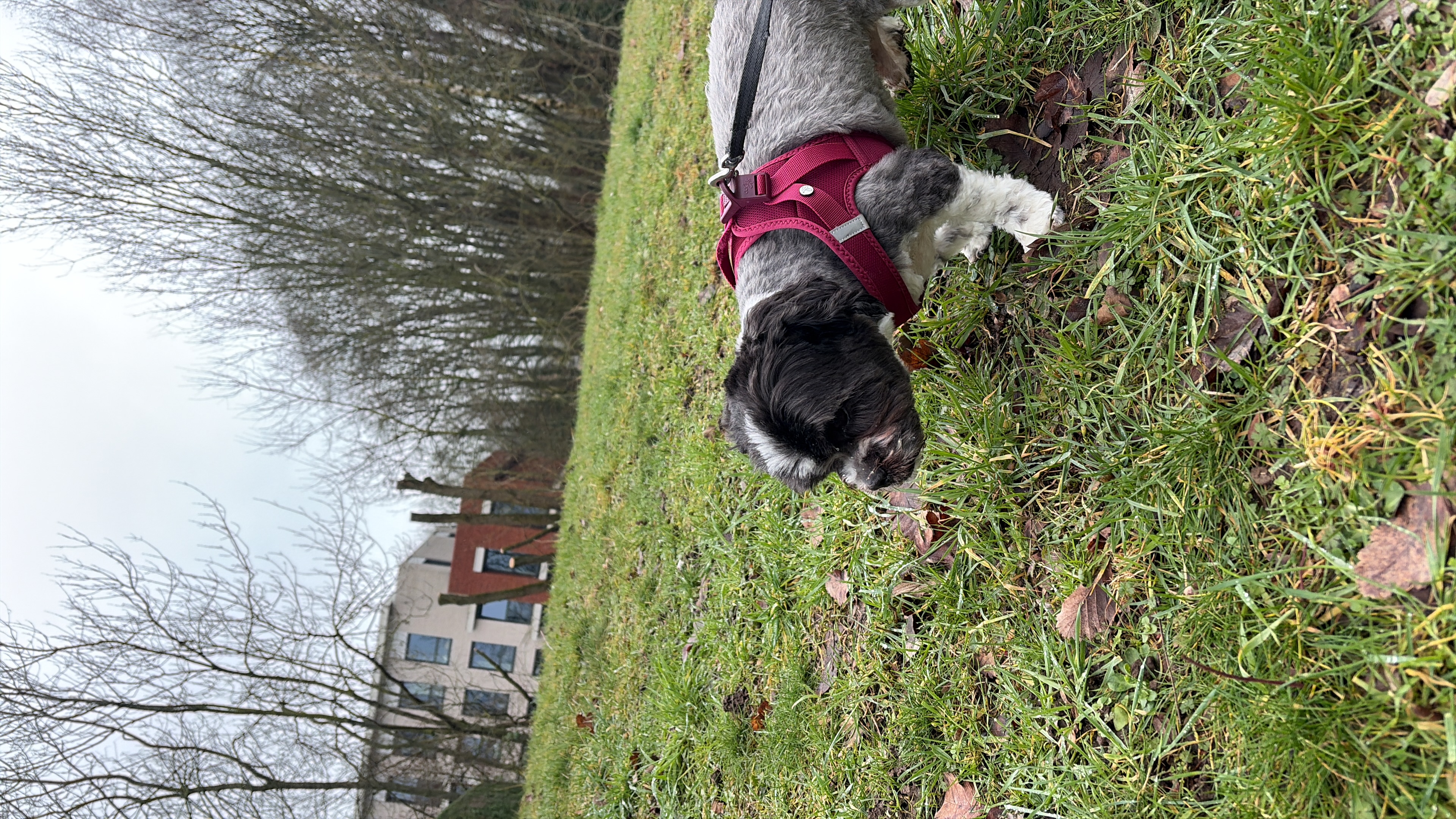 image-7