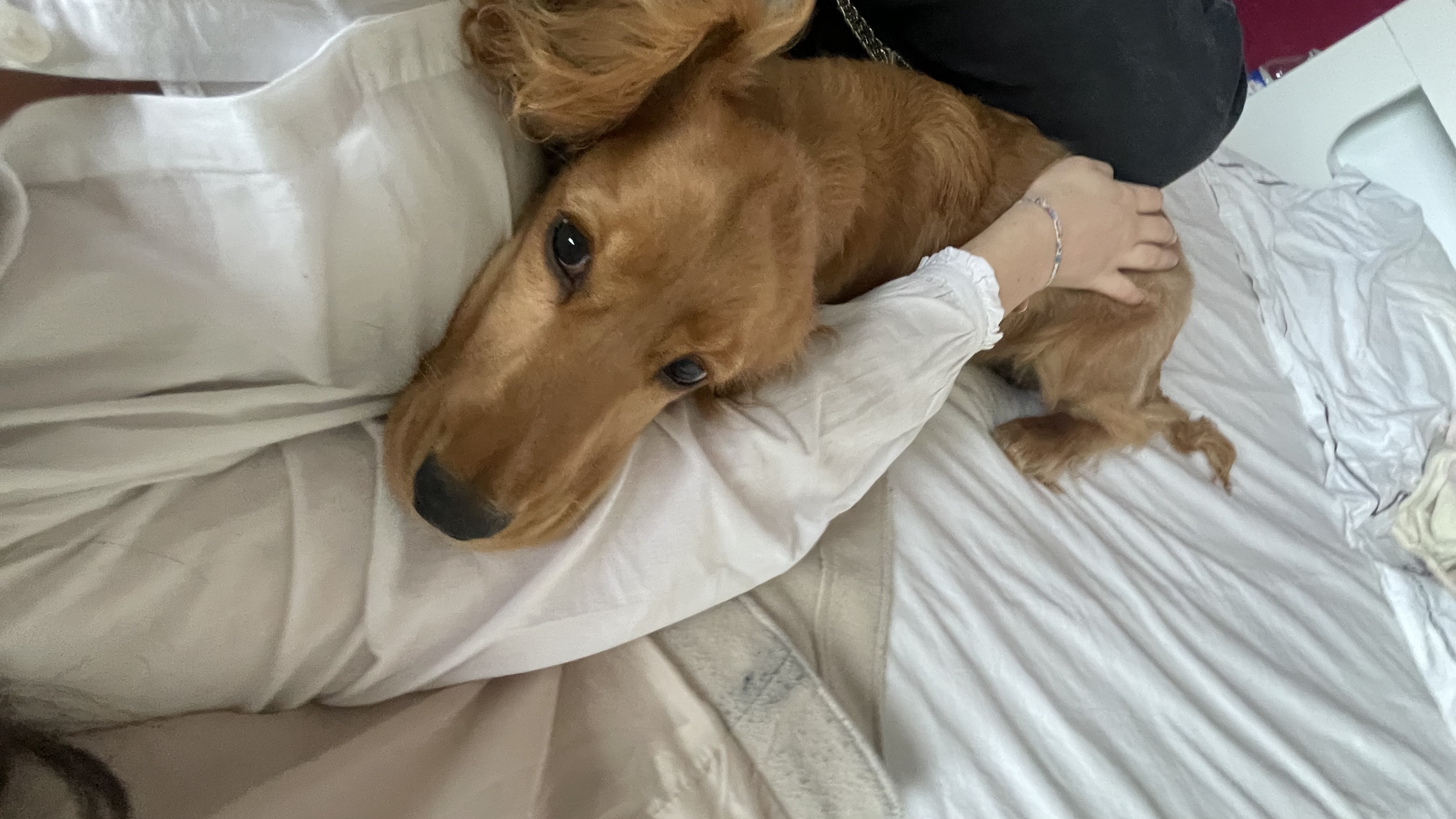 image-6