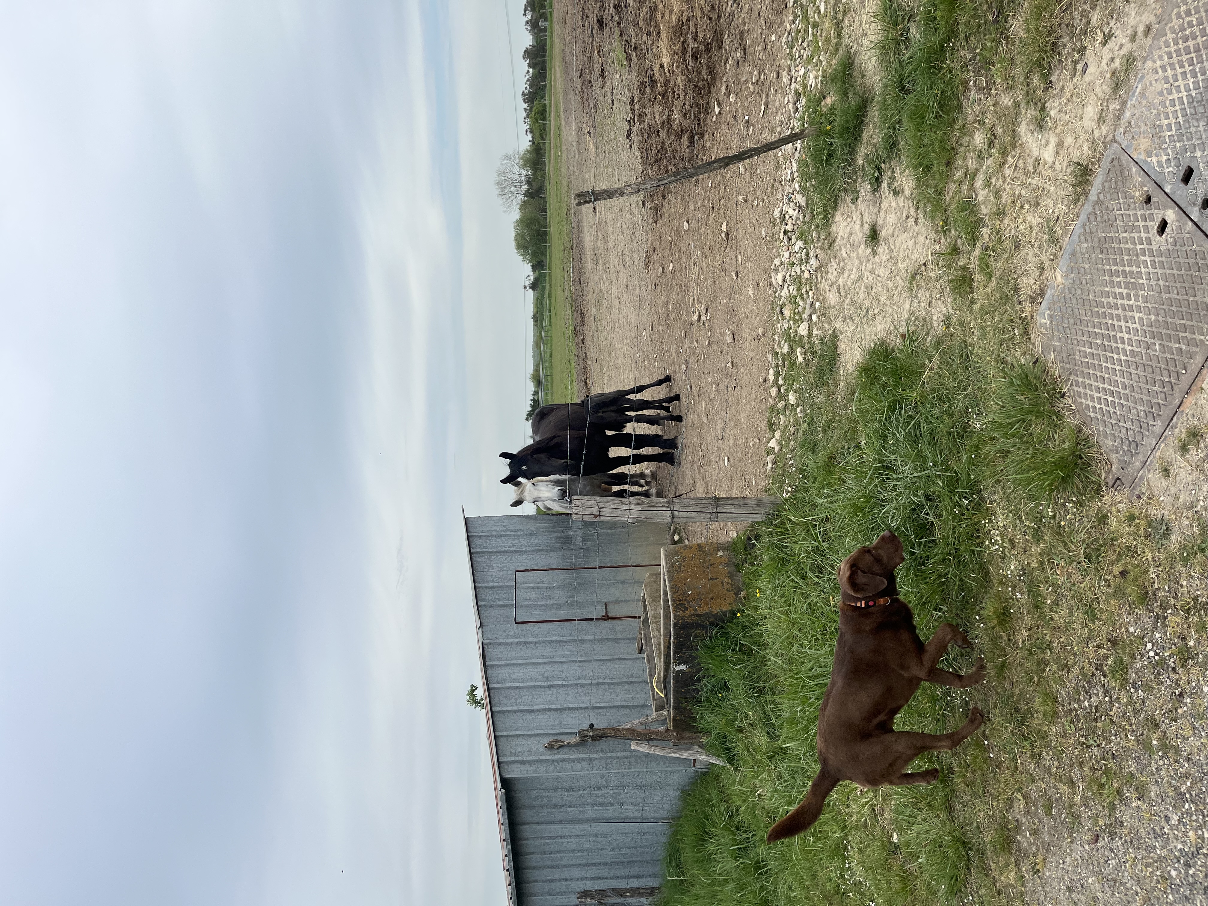 image-14