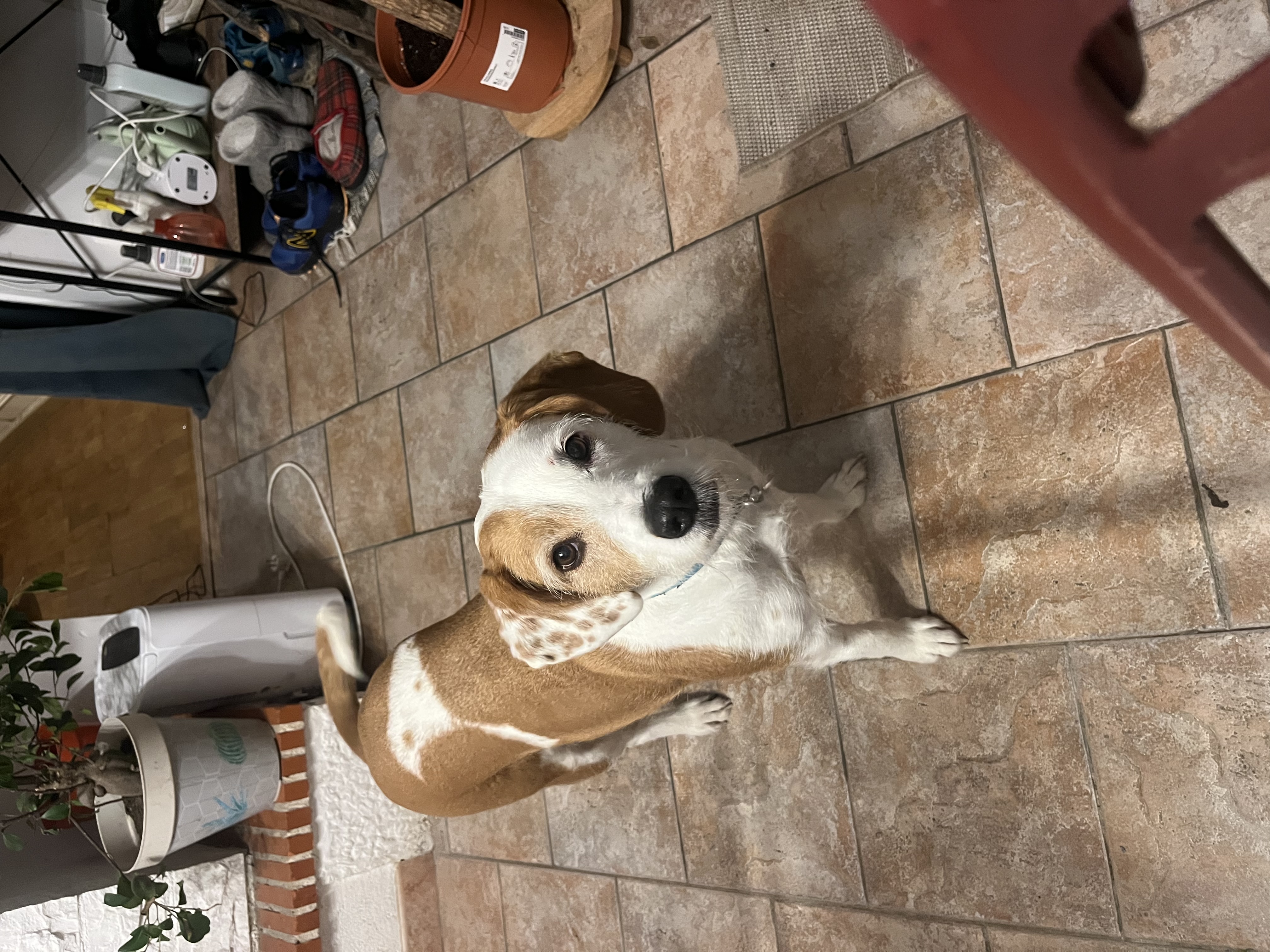 image-10