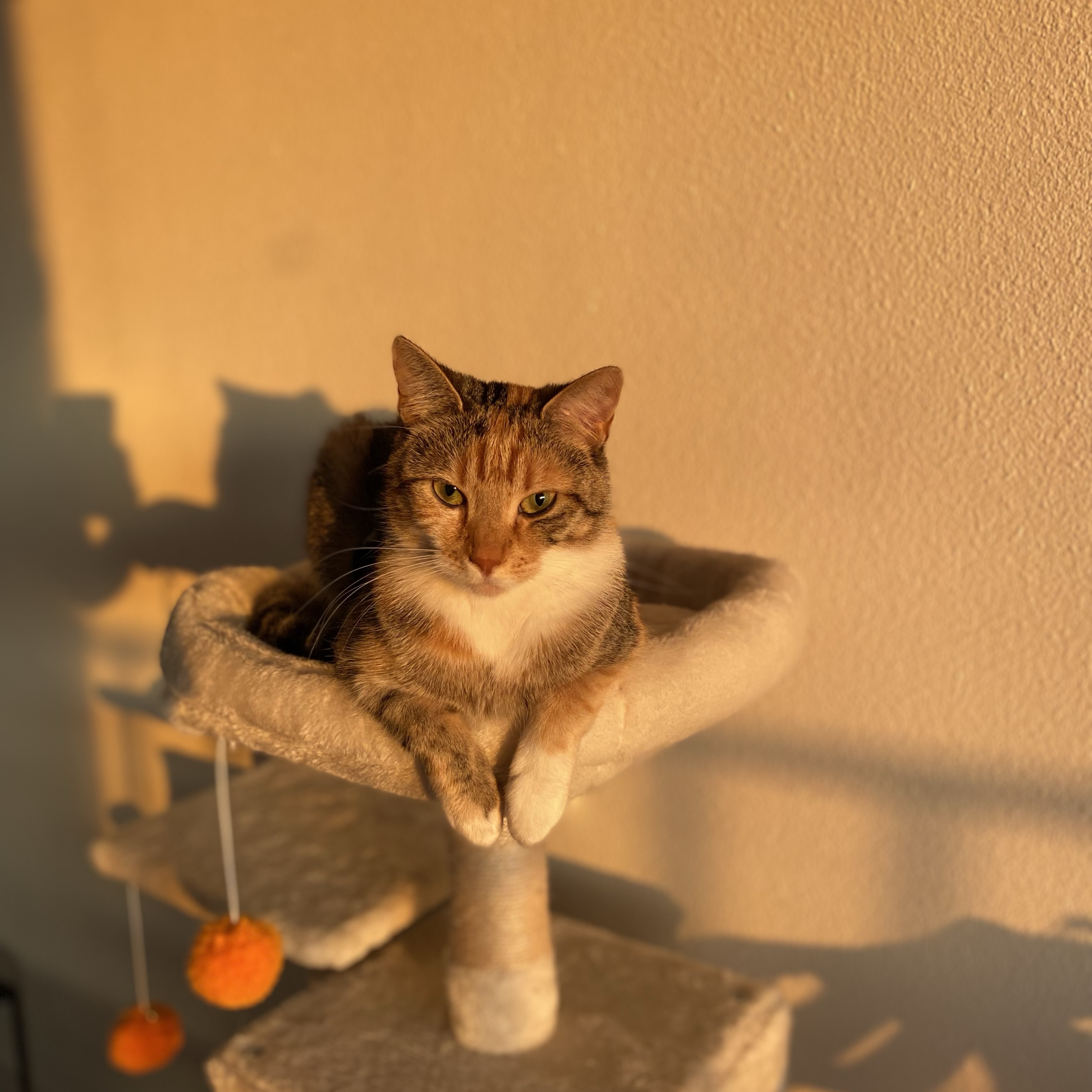 Luna