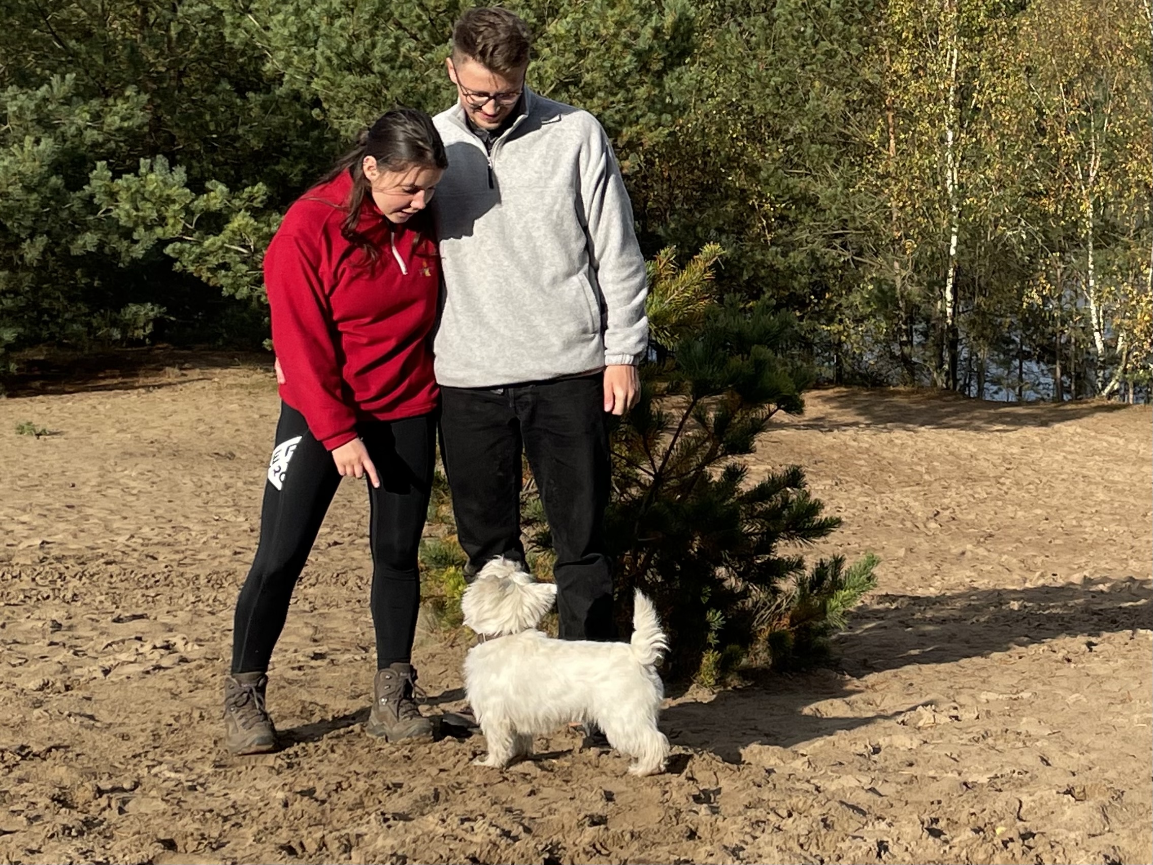 image-5