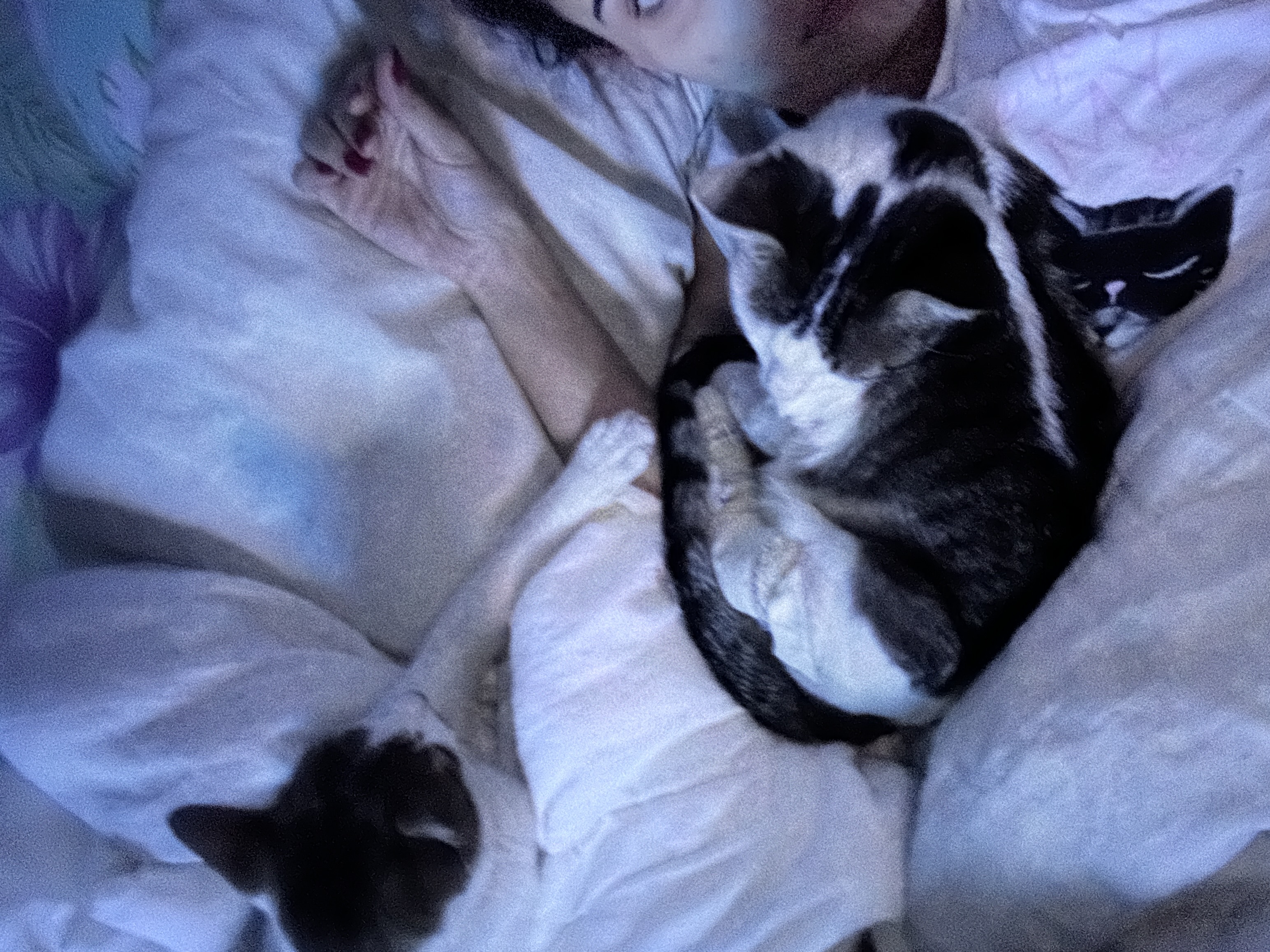 image-9