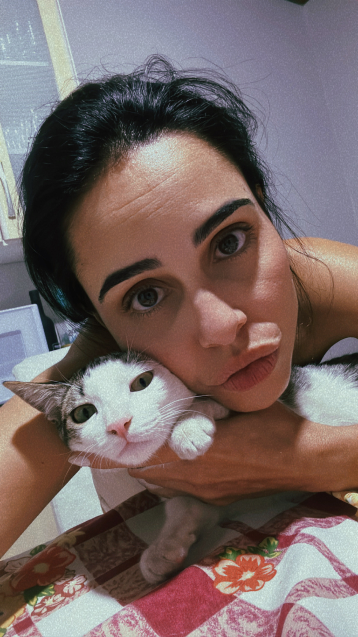 image-6