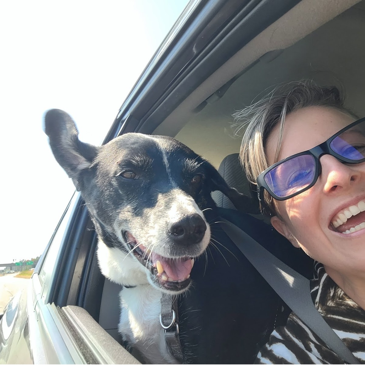 Leica (Deceased 2025 04 16)